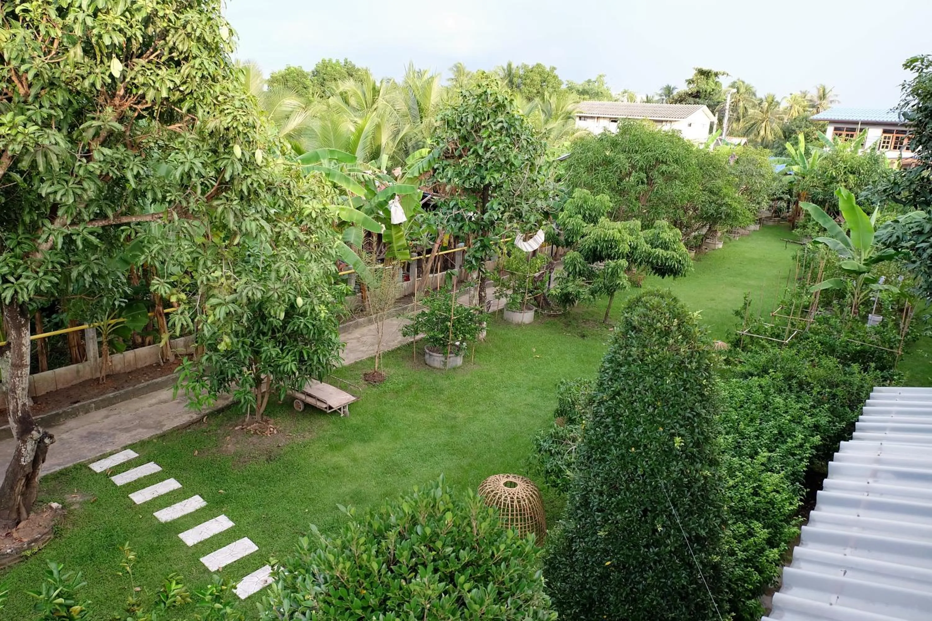 Garden in Sor Vorapin Muay Thai Home