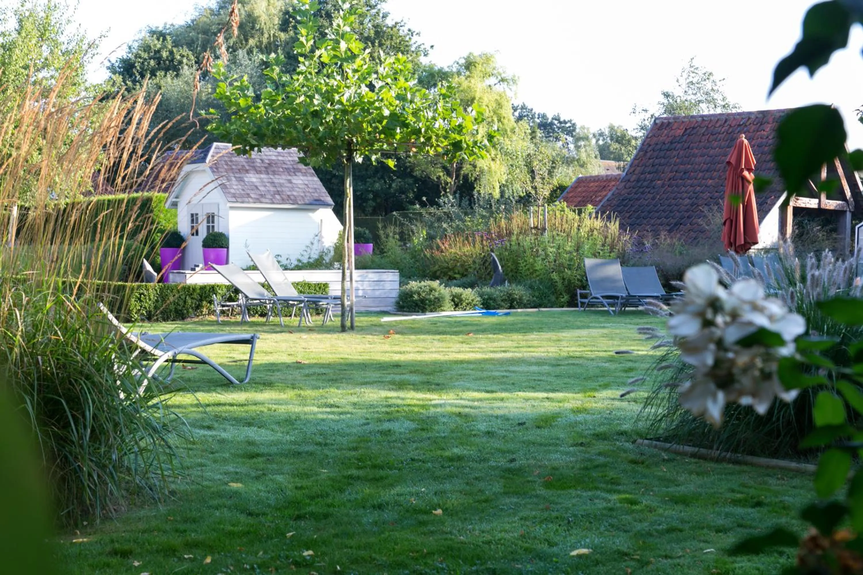 Garden view in Country House Duinhof