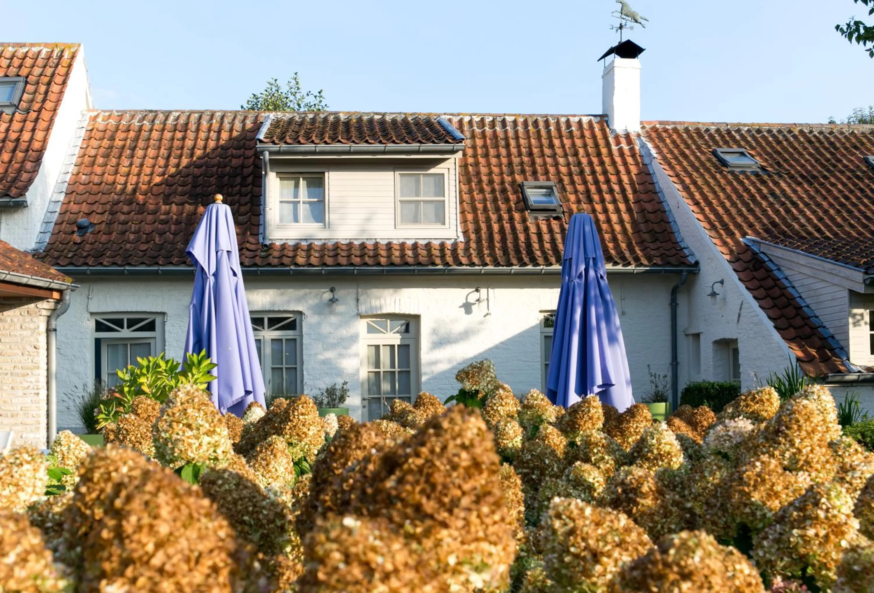 Property building in Country House Duinhof