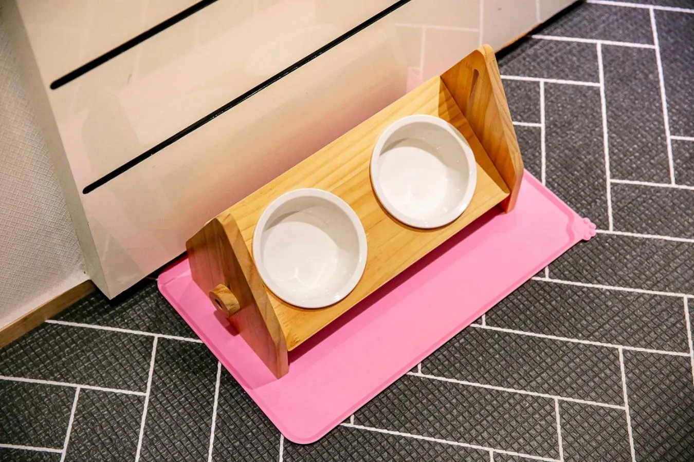 pet friendly in The Best Jeju Seongsan