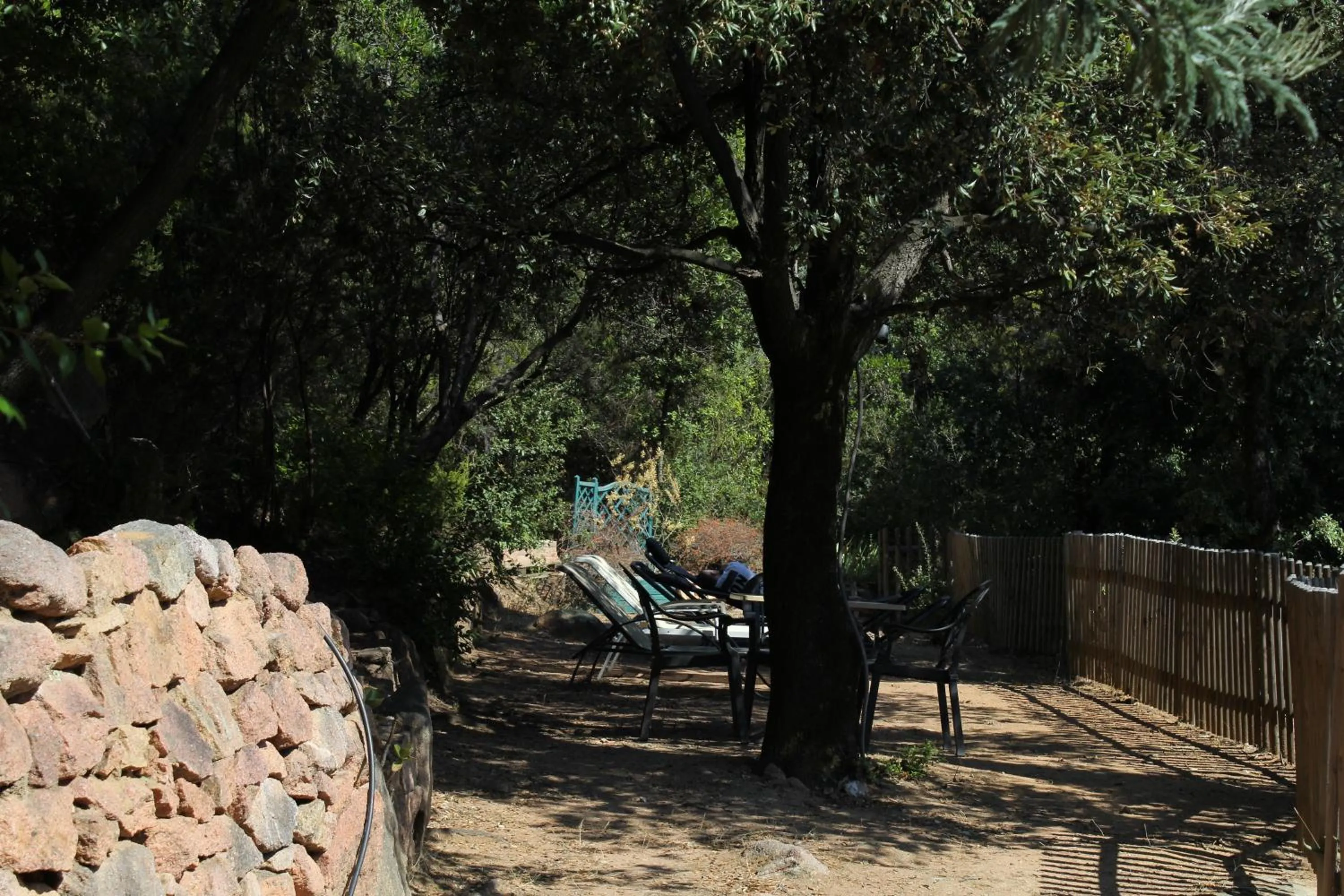 Garden in Hôtel Bella Vista