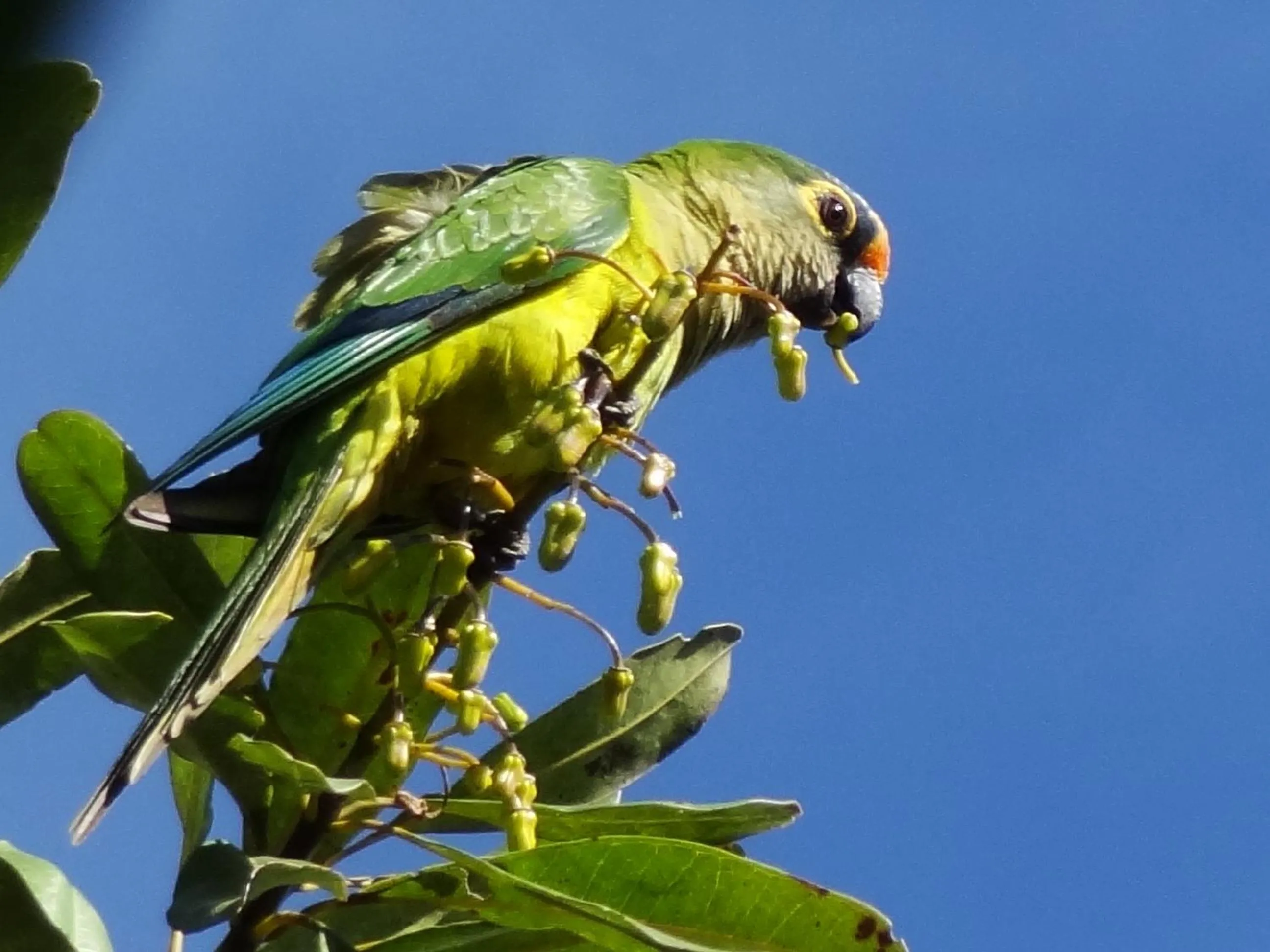 Chalé Chapada dos Veadeiros