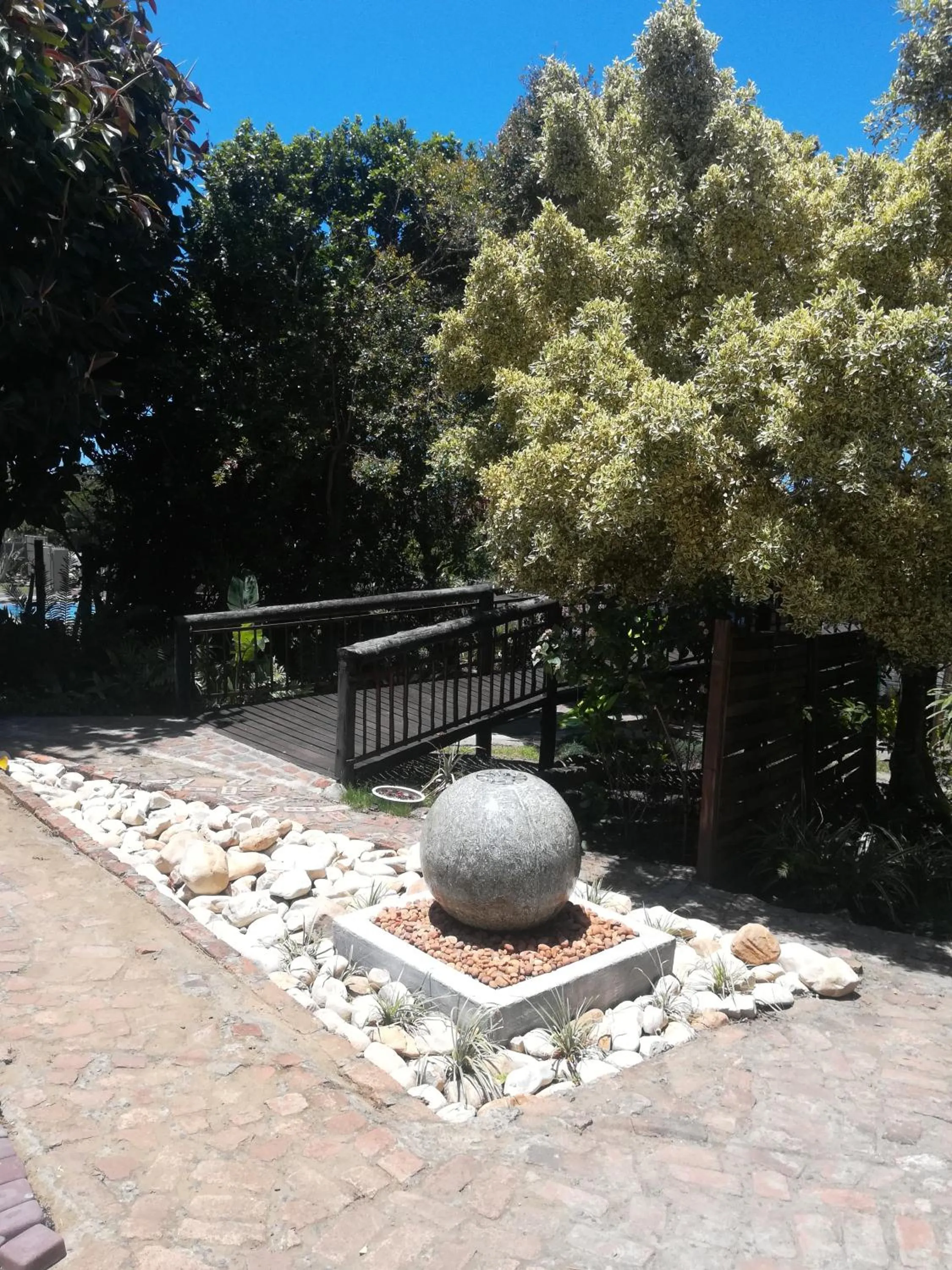 Garden in The Birdhouse Bed & Breakfast #NO Loadshedding #Solar Energy