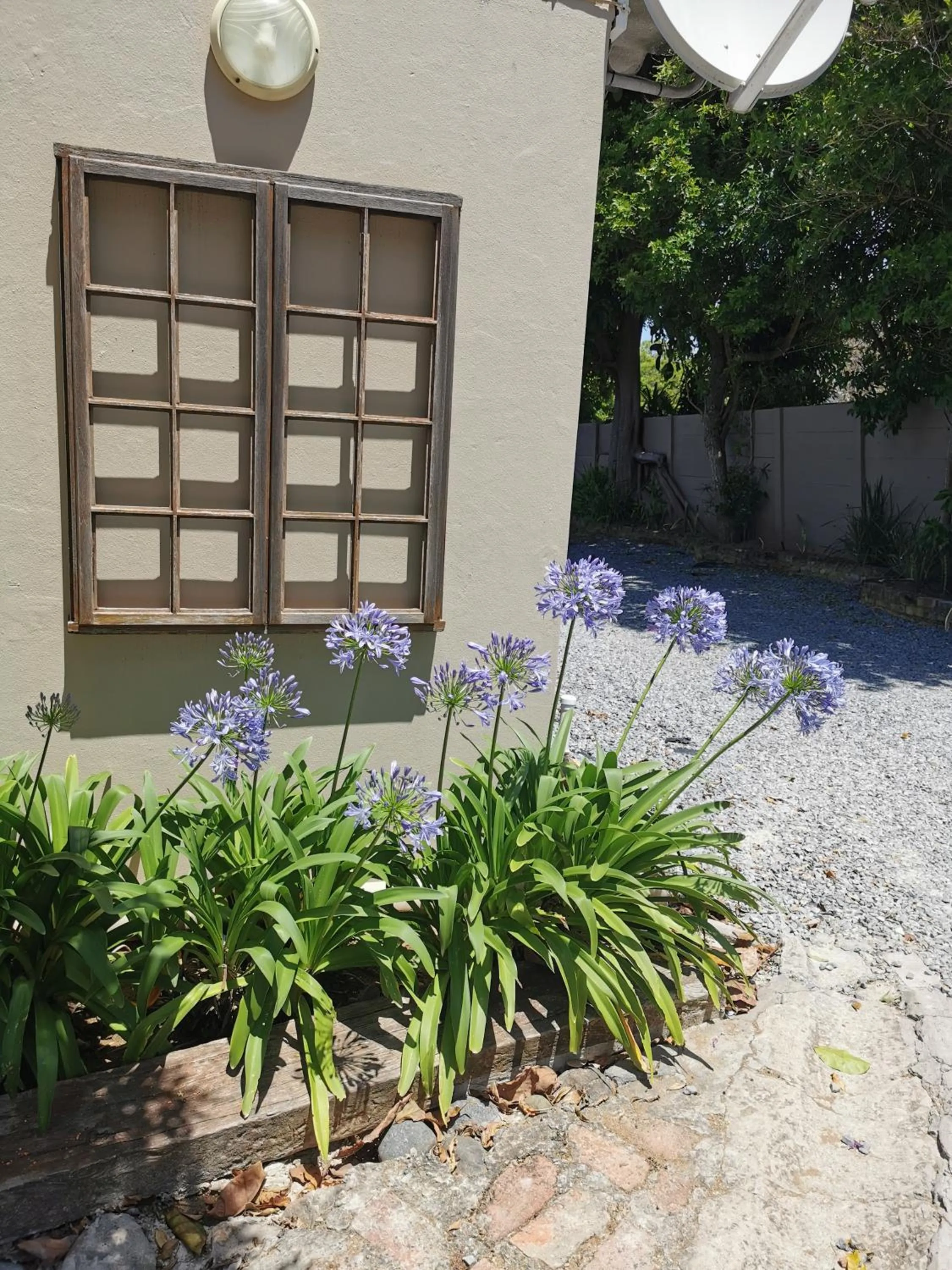 Garden in The Birdhouse Bed & Breakfast #NO Loadshedding #Solar Energy