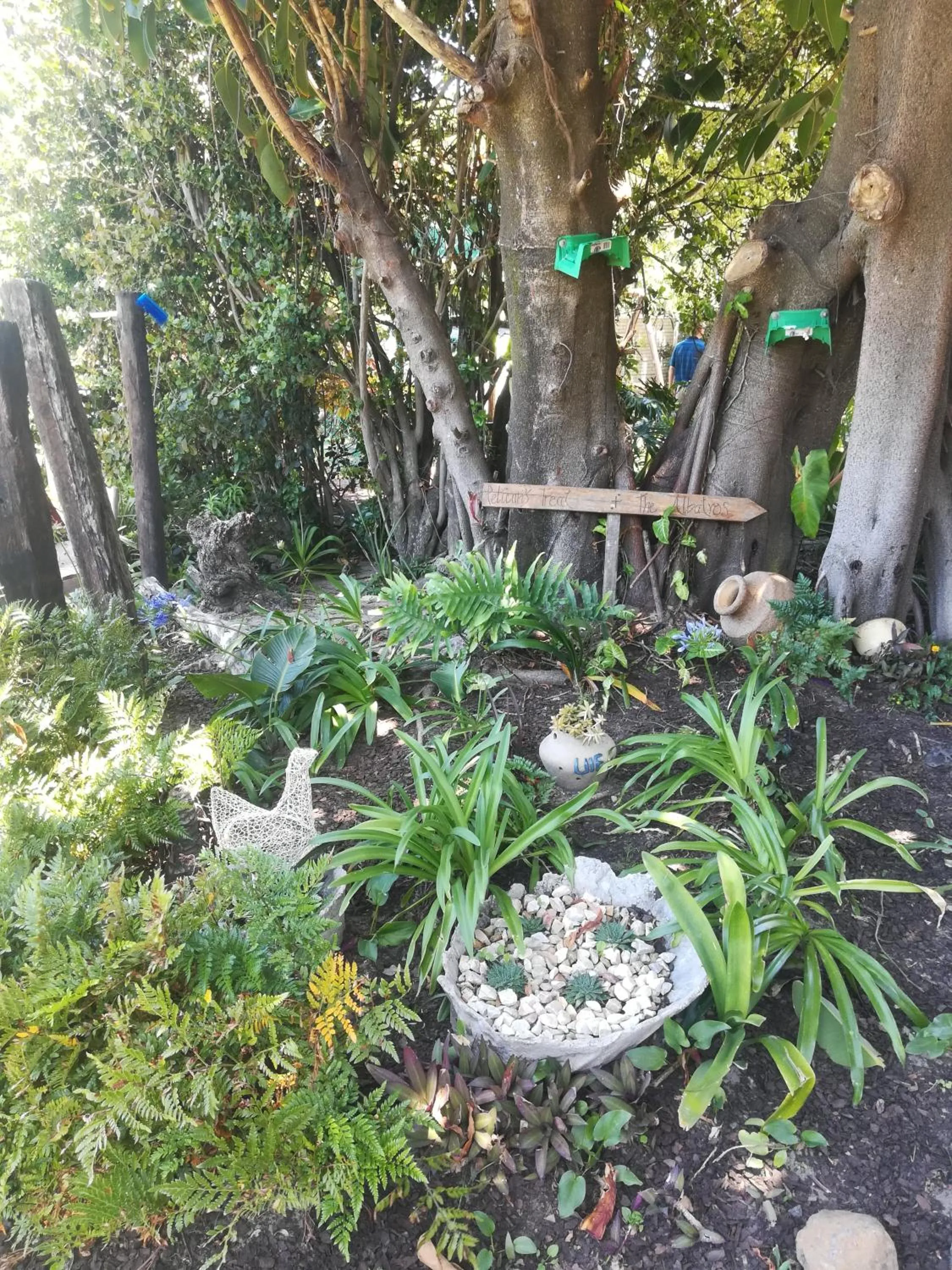 Garden in The Birdhouse Bed & Breakfast #NO Loadshedding #Solar Energy