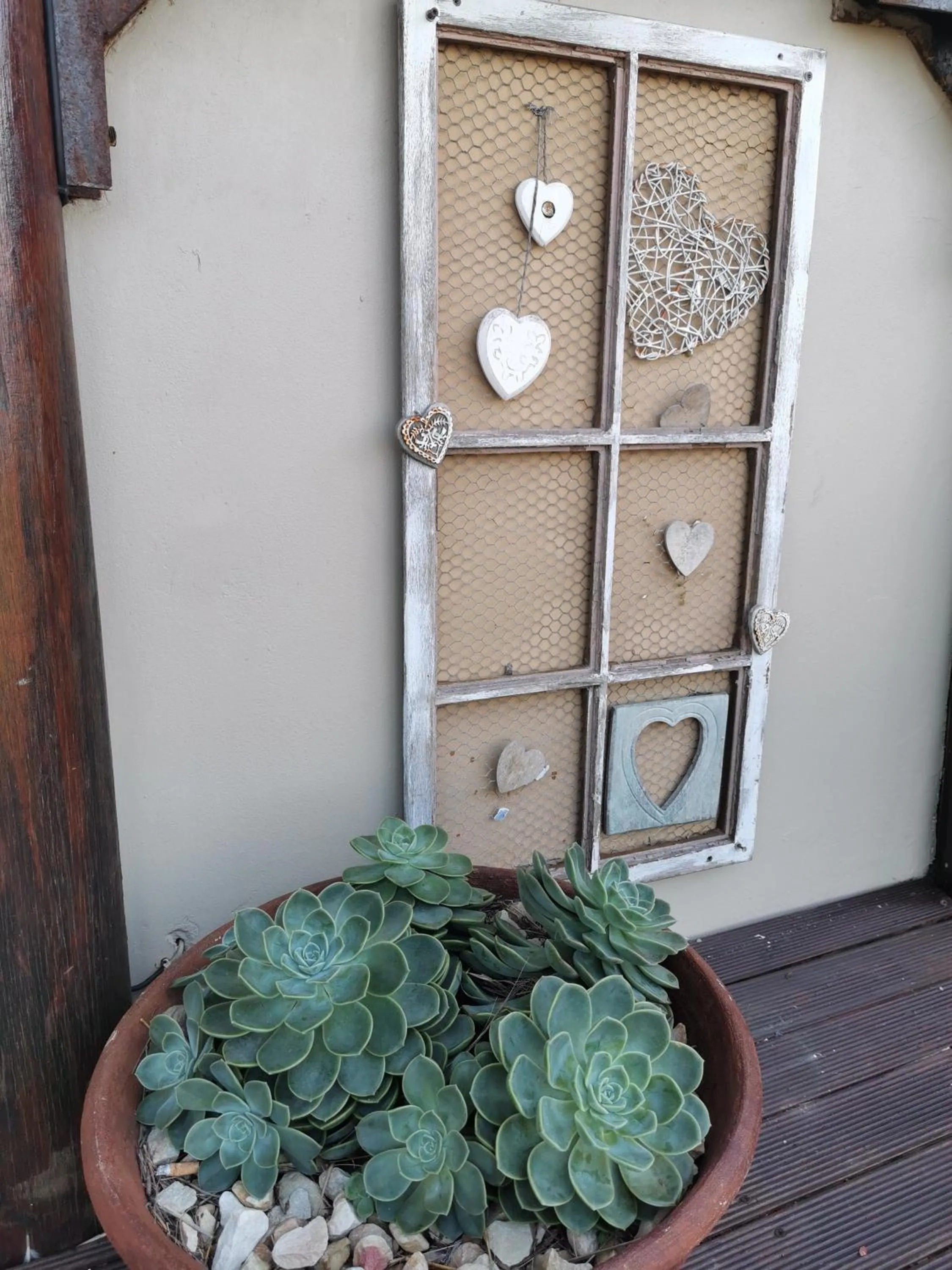 Garden in The Birdhouse Bed & Breakfast #NO Loadshedding #Solar Energy