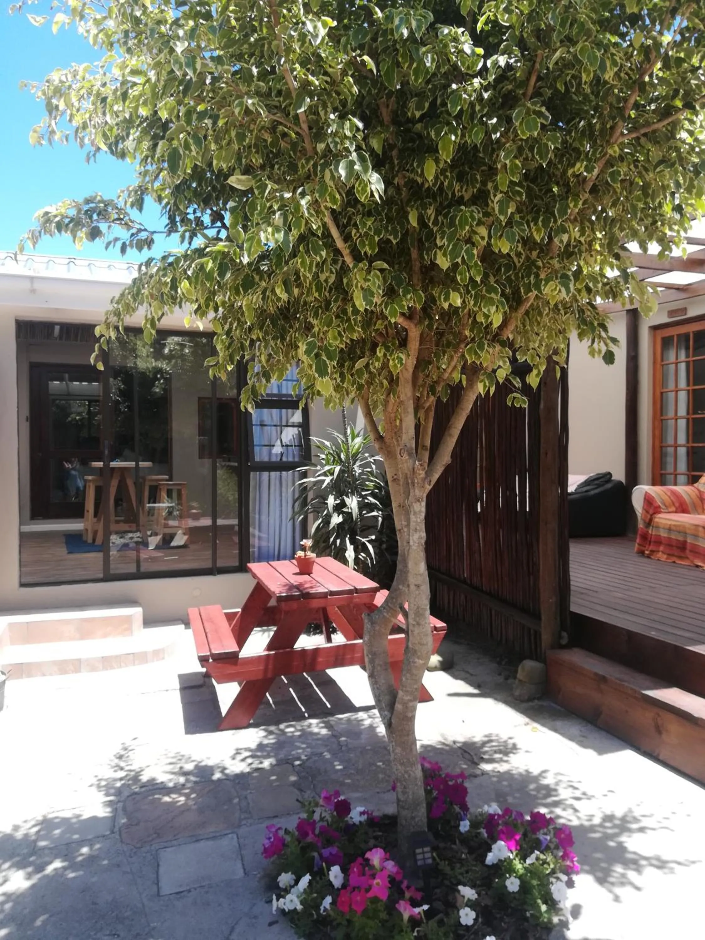 Garden in The Birdhouse Bed & Breakfast #NO Loadshedding #Solar Energy