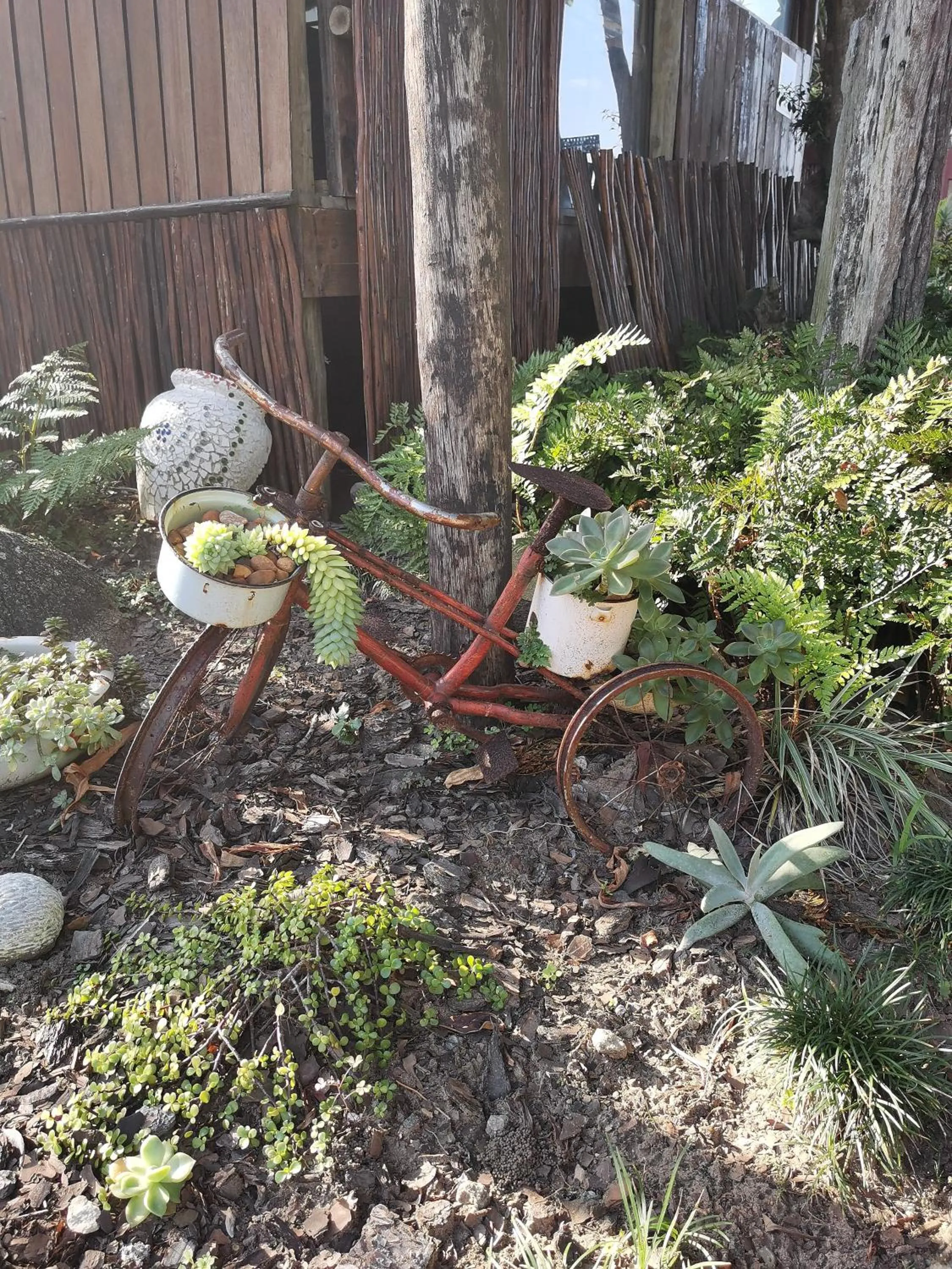 Garden in The Birdhouse Bed & Breakfast #NO Loadshedding #Solar Energy