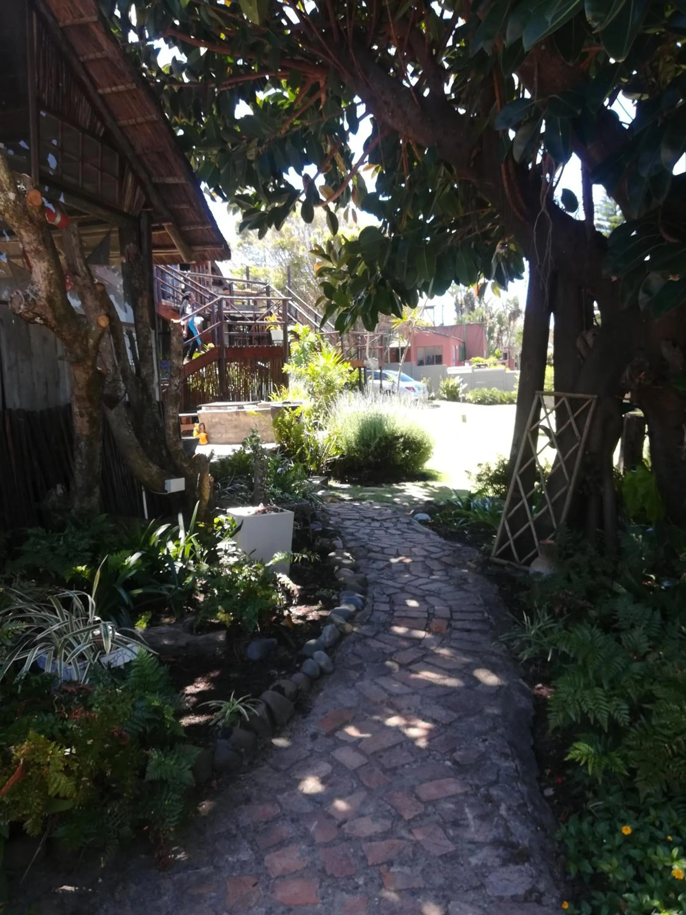 Garden in The Birdhouse Bed & Breakfast #NO Loadshedding #Solar Energy