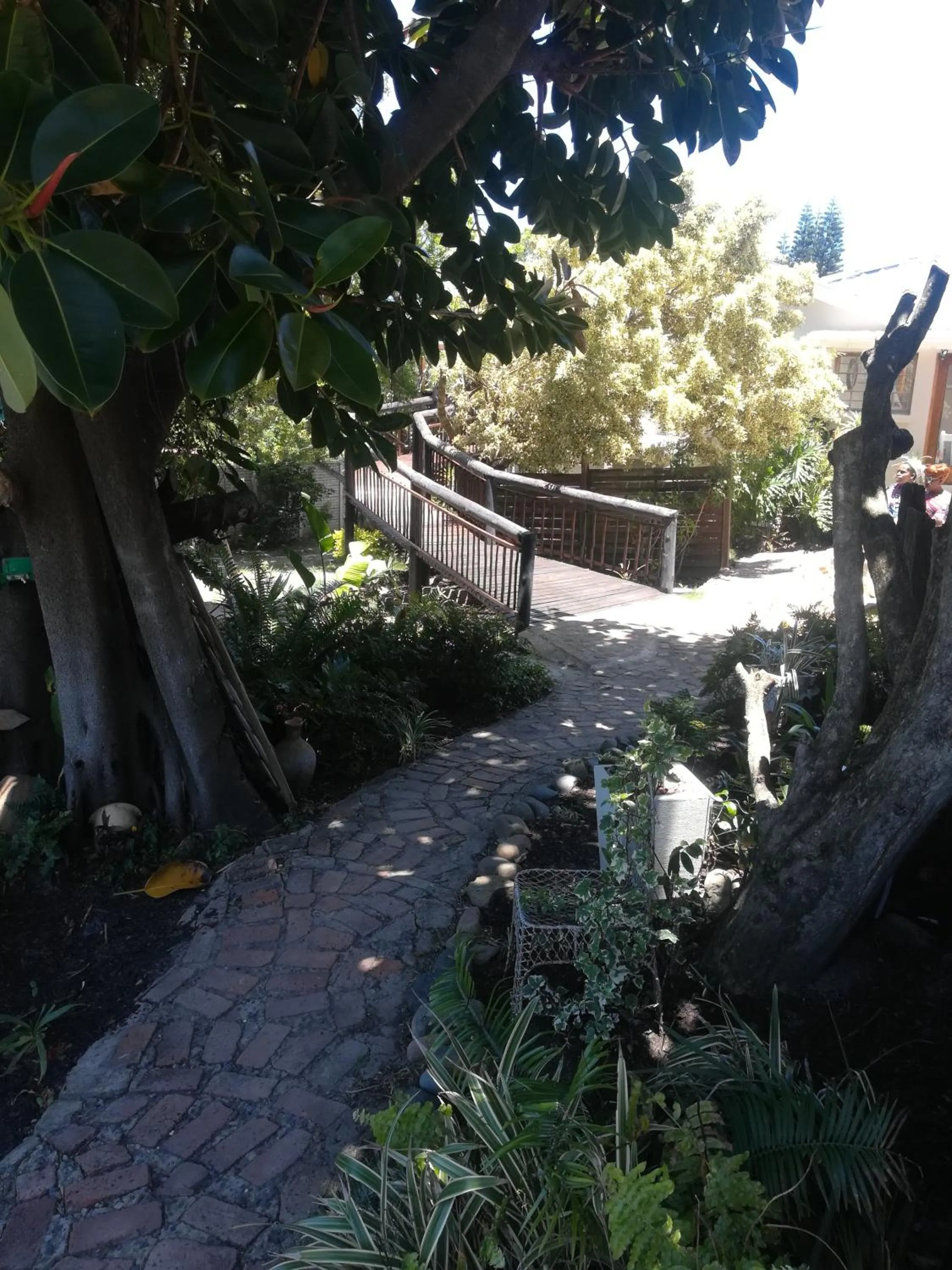 Garden in The Birdhouse Bed & Breakfast #NO Loadshedding #Solar Energy