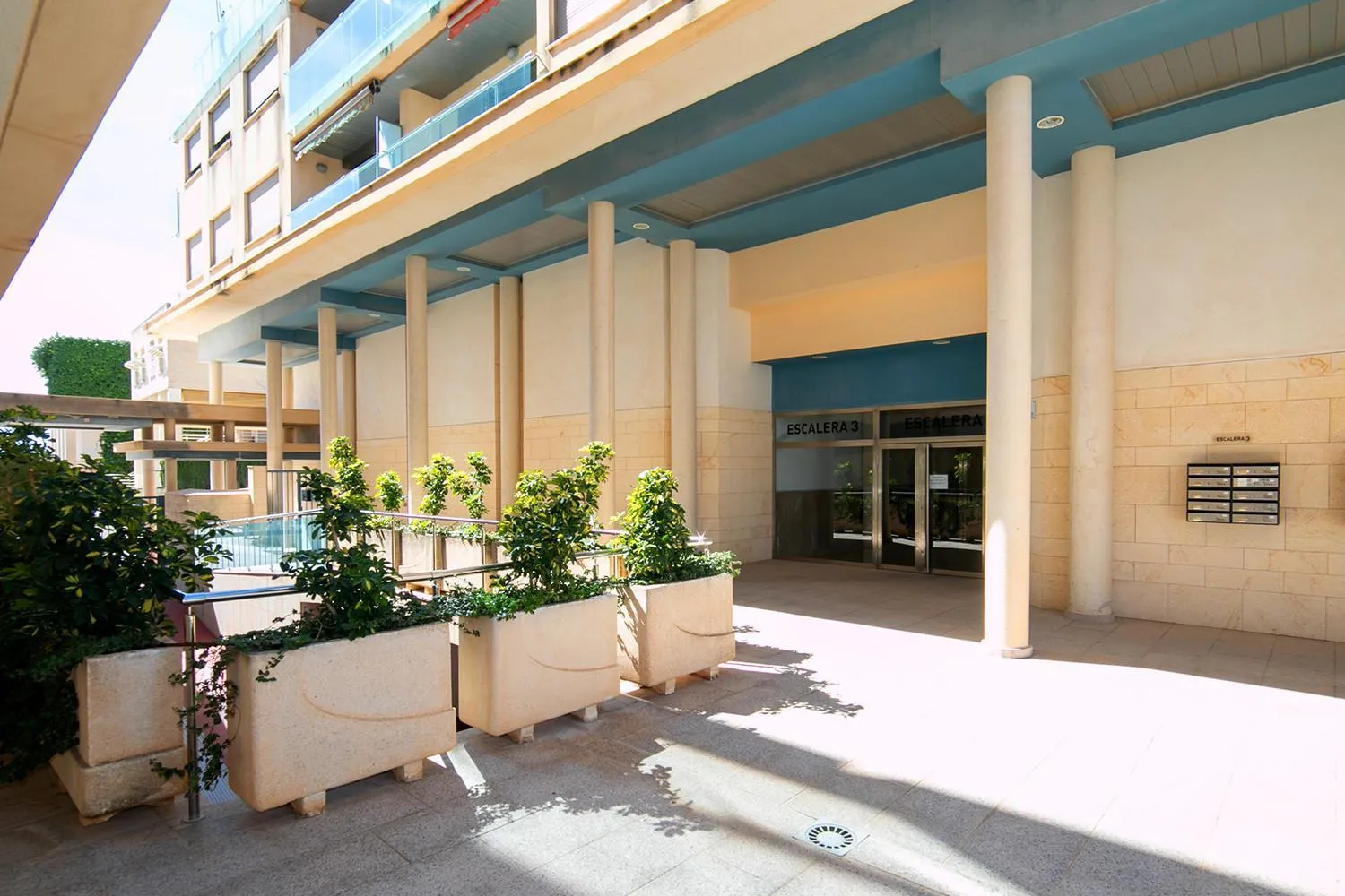 Homeincalpe Borumbot