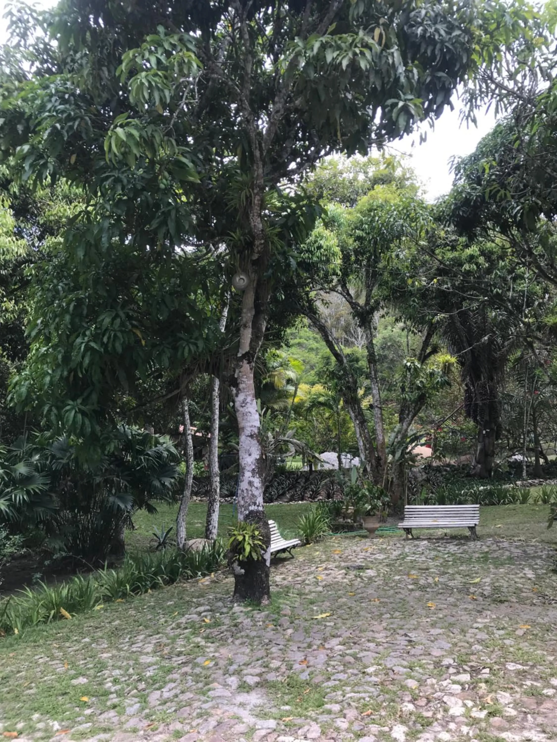 Pousada Chale Cana Brava