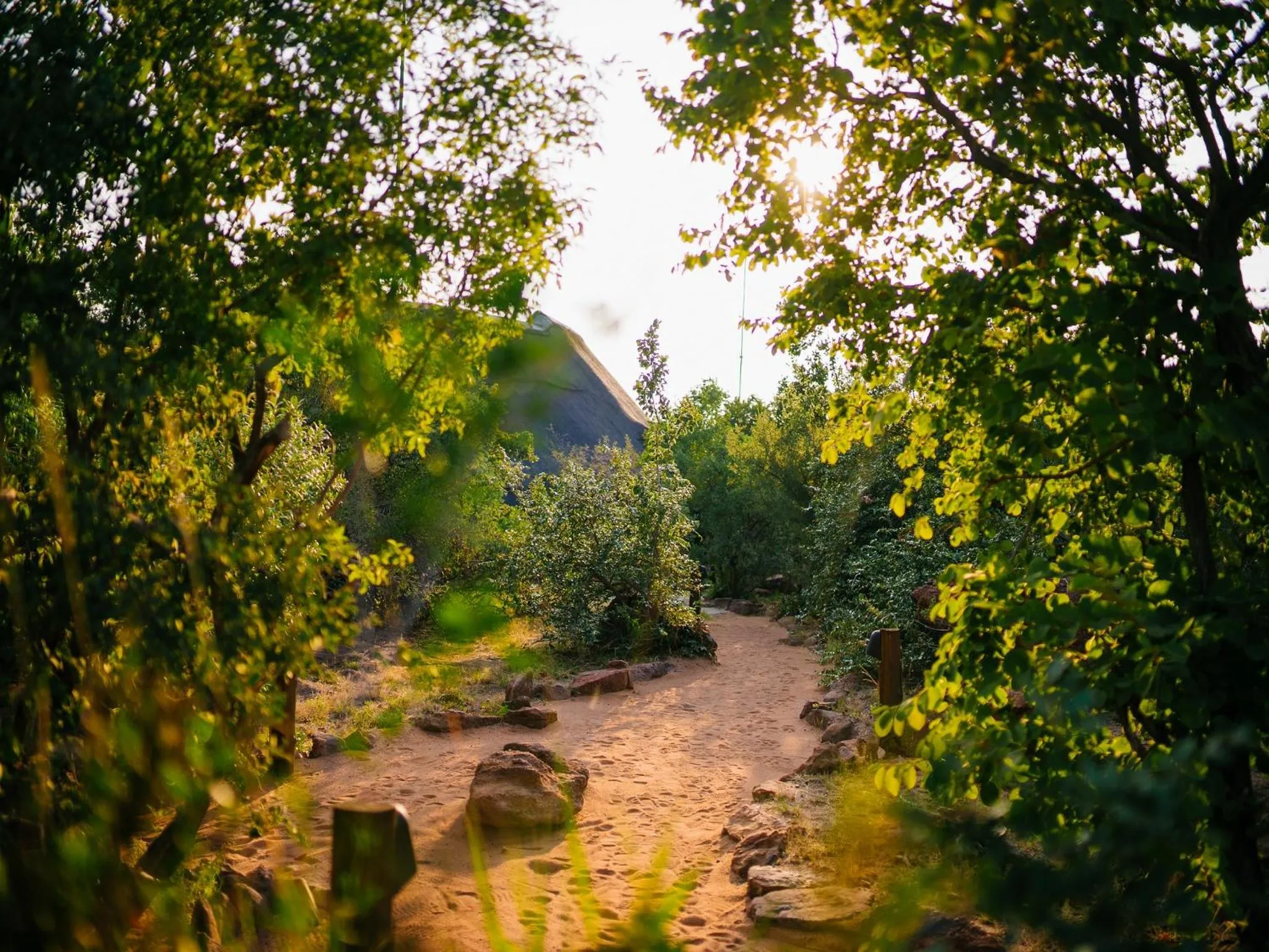 Spring in Nedile Lodge