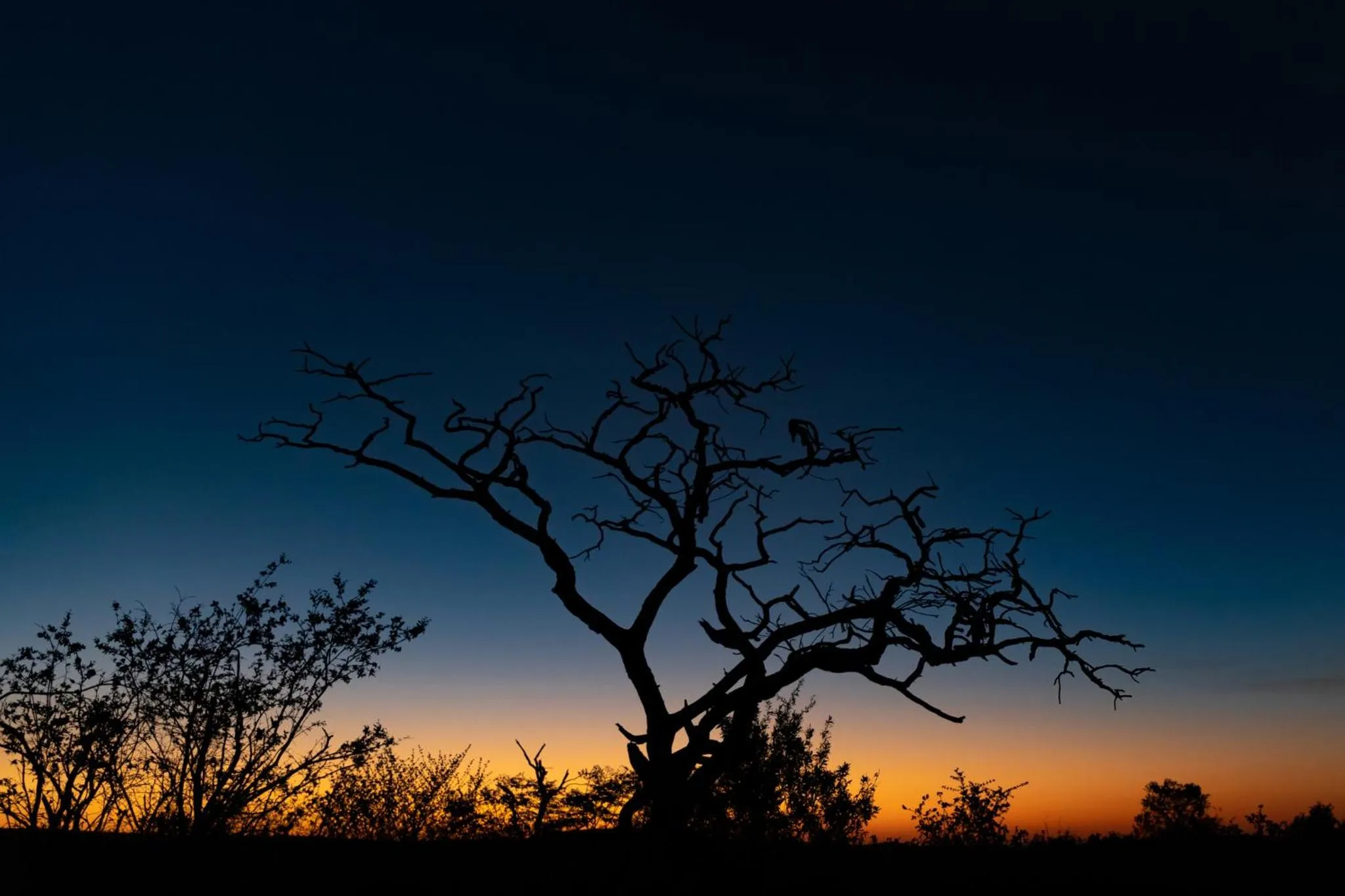 Natural landscape in Nedile Lodge