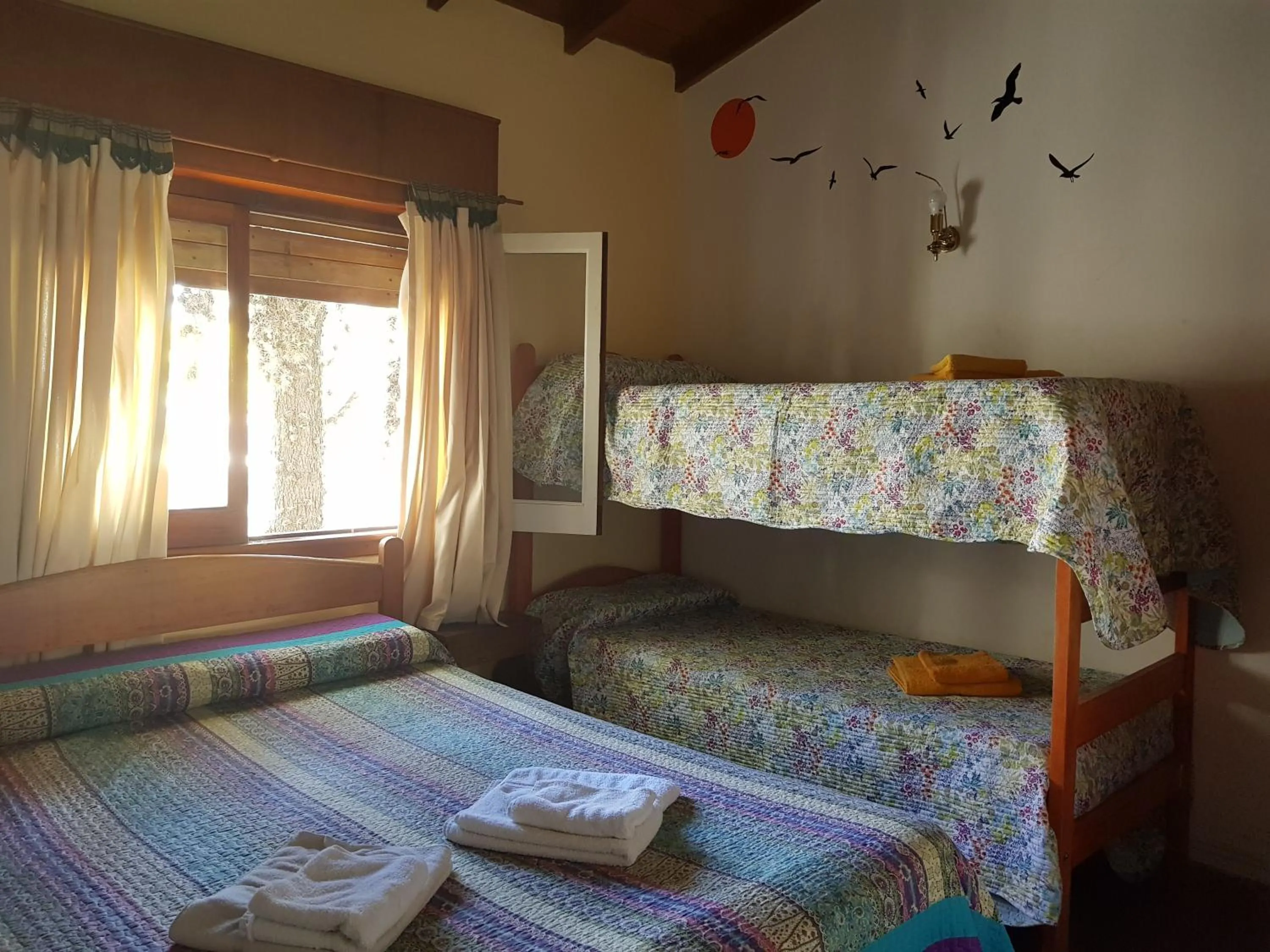 Photo of the whole room, Bed in Hotel El Cisne