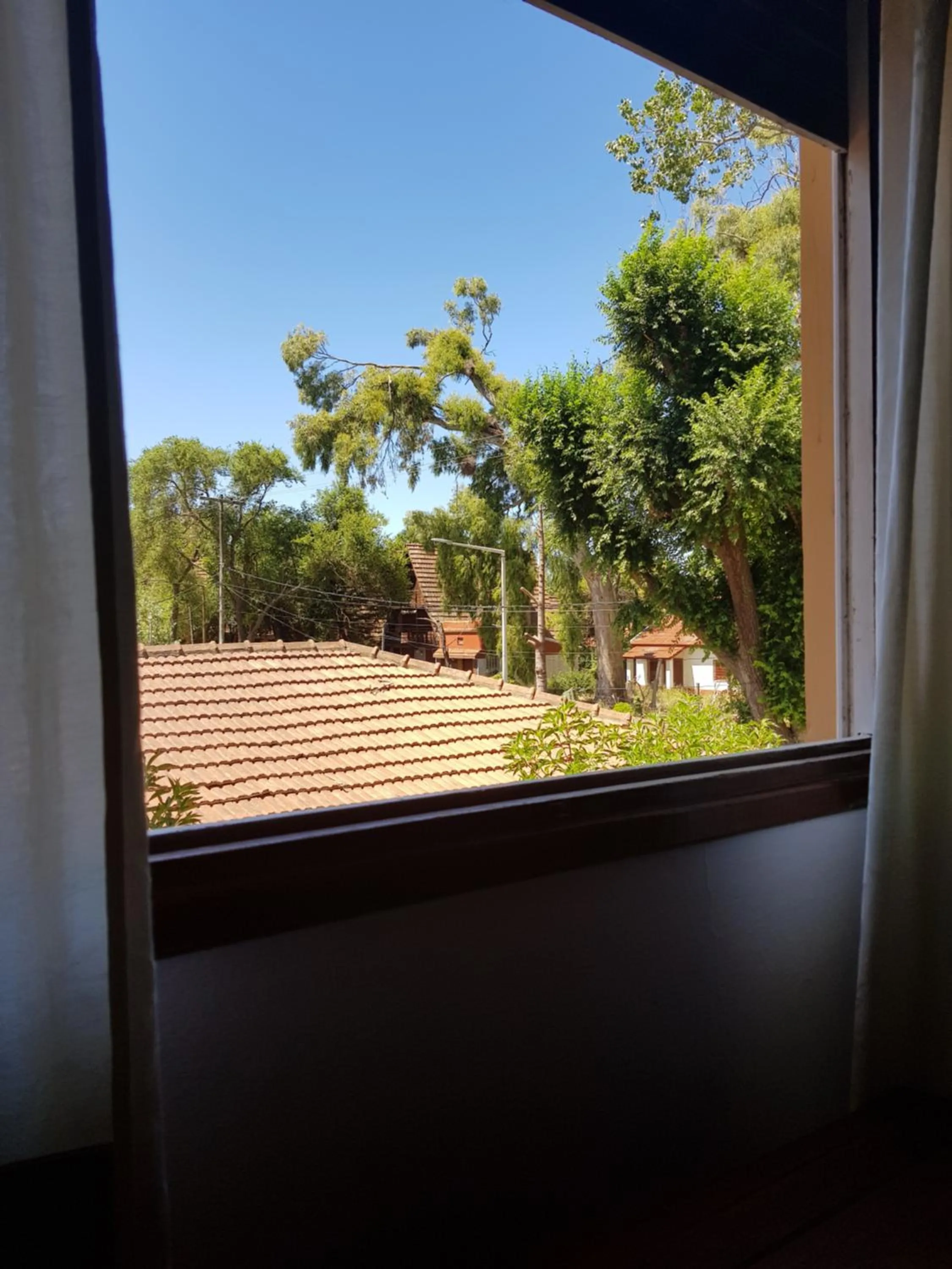 Garden view in Hotel El Cisne