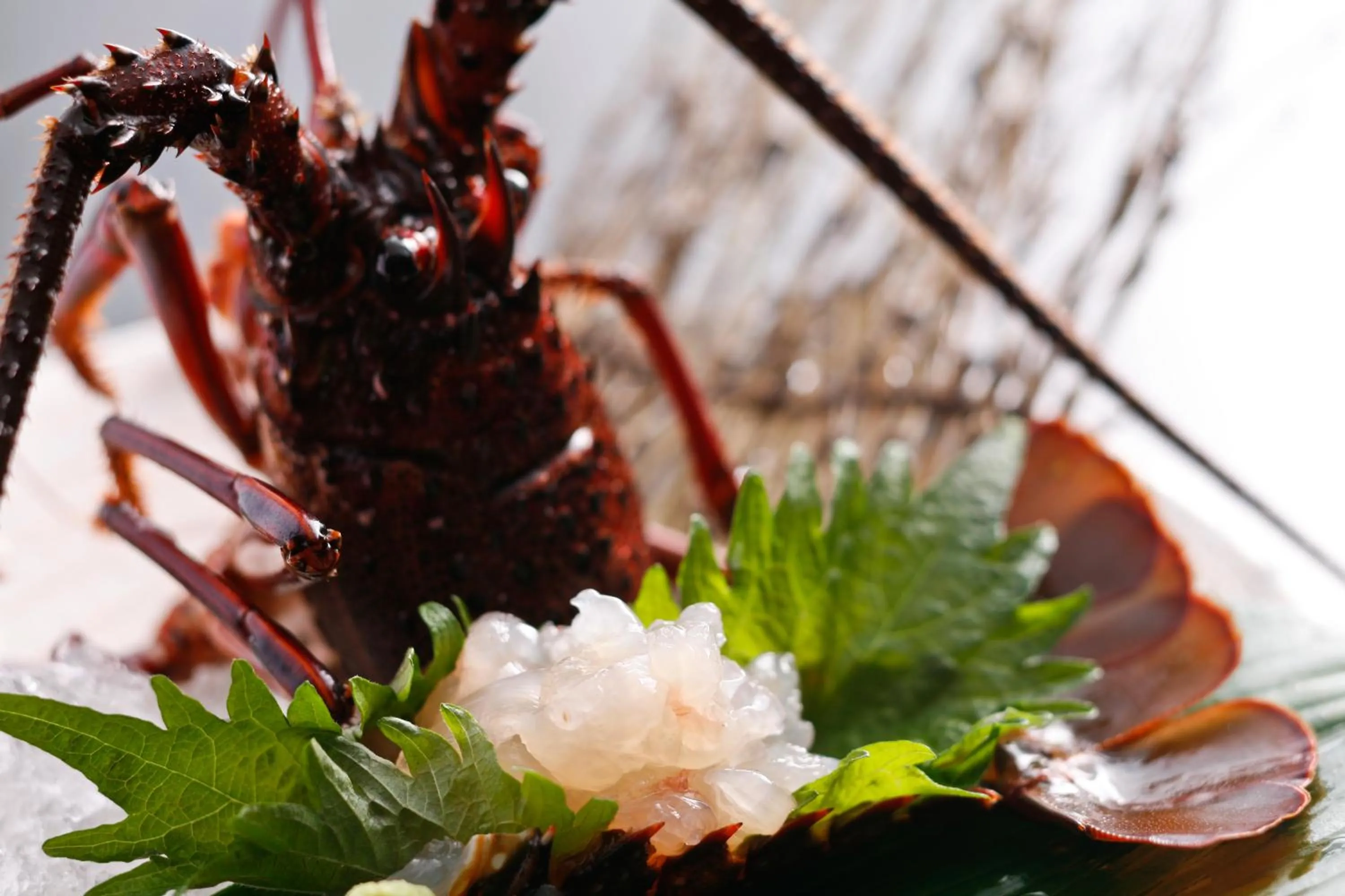Food close-up in Hotel Tokinoza
