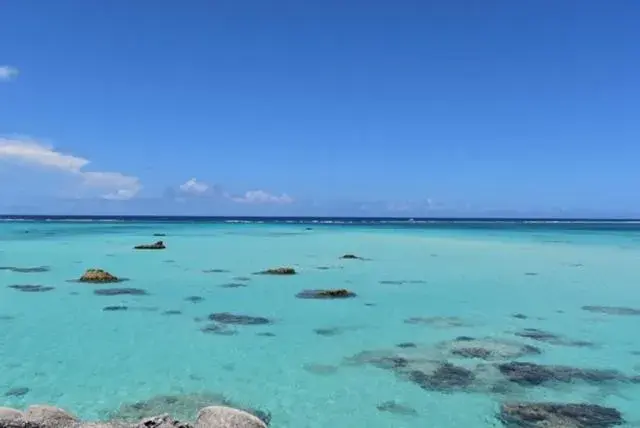 Hotel South Island Hotel South Island