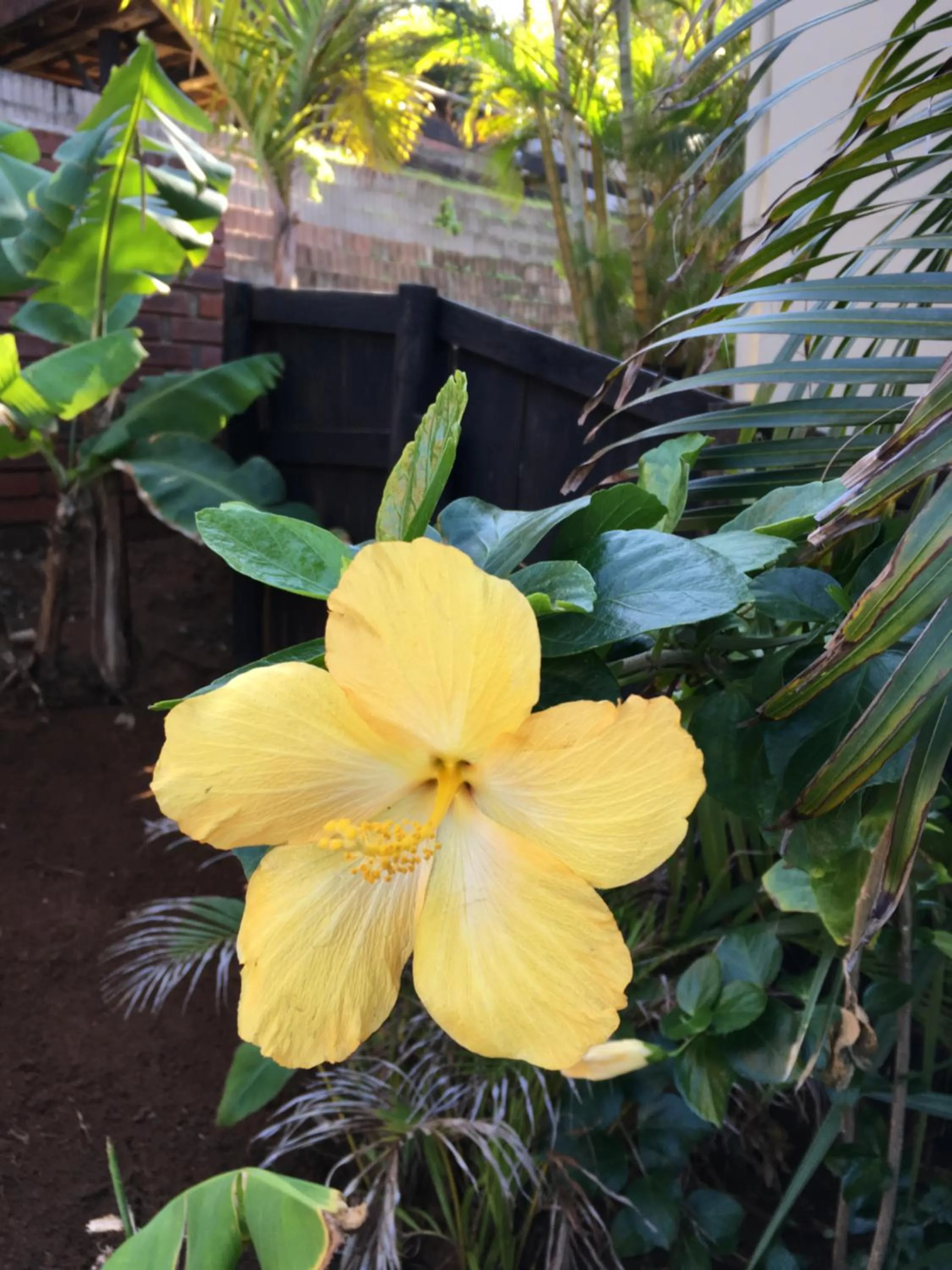 Ansteys Beach Self Catering Apartments