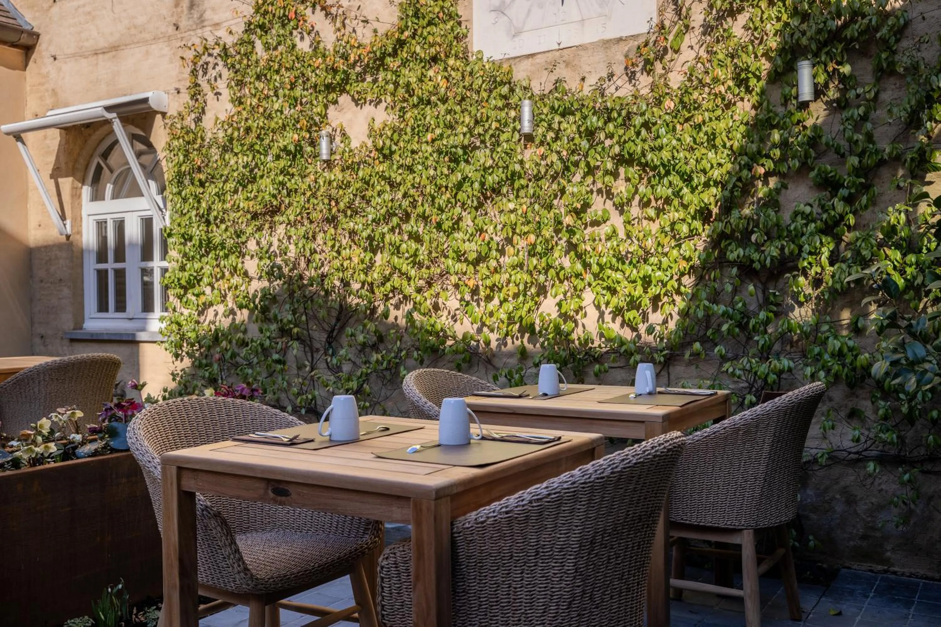Garden in Hotel Ter Duinen