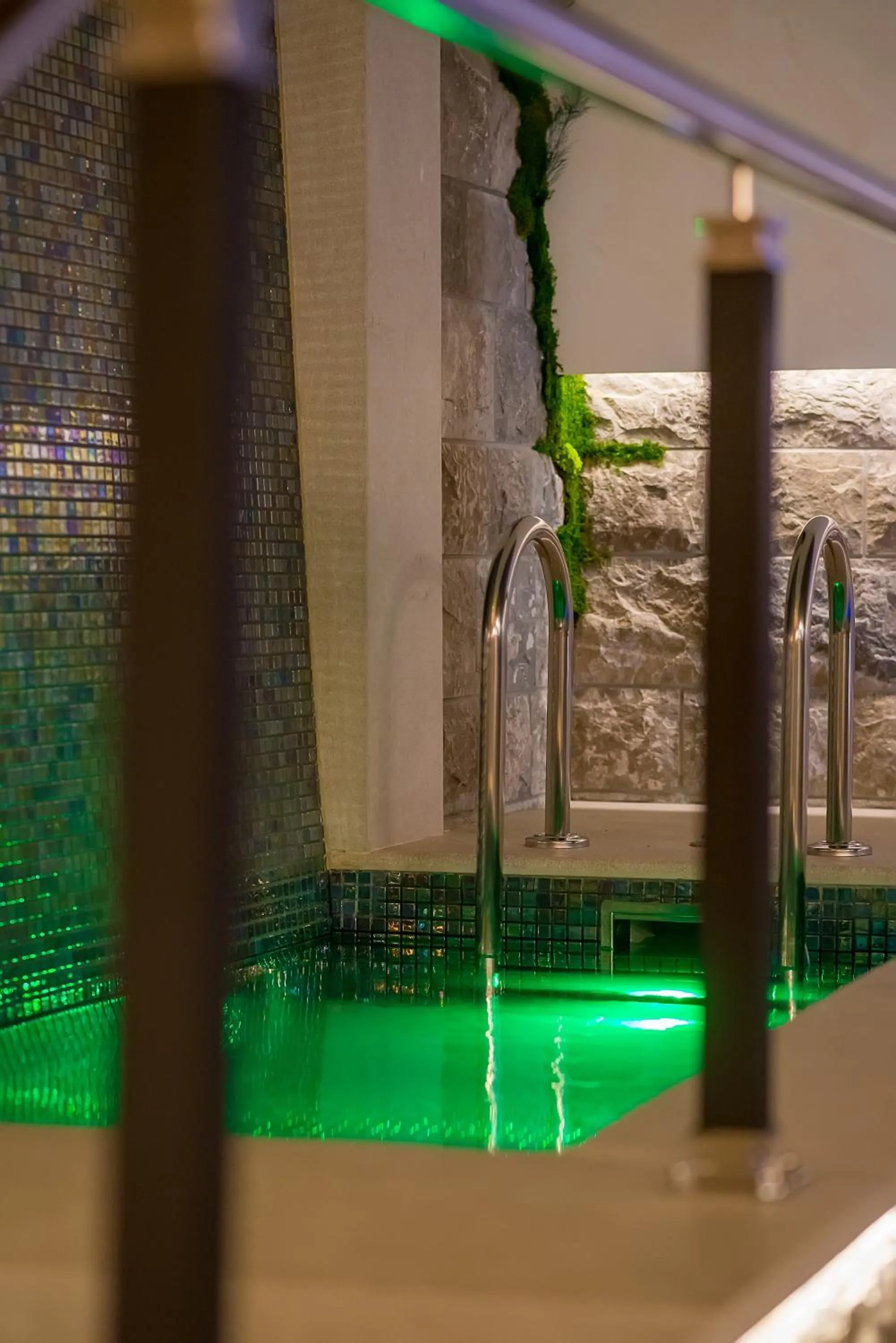 Area and facilities in Hotel Forza Terra