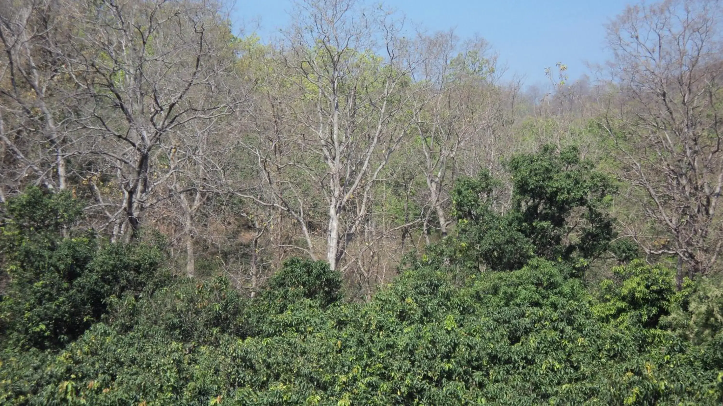 Corbett Comfort Lodge Corbett Comfort Lodge