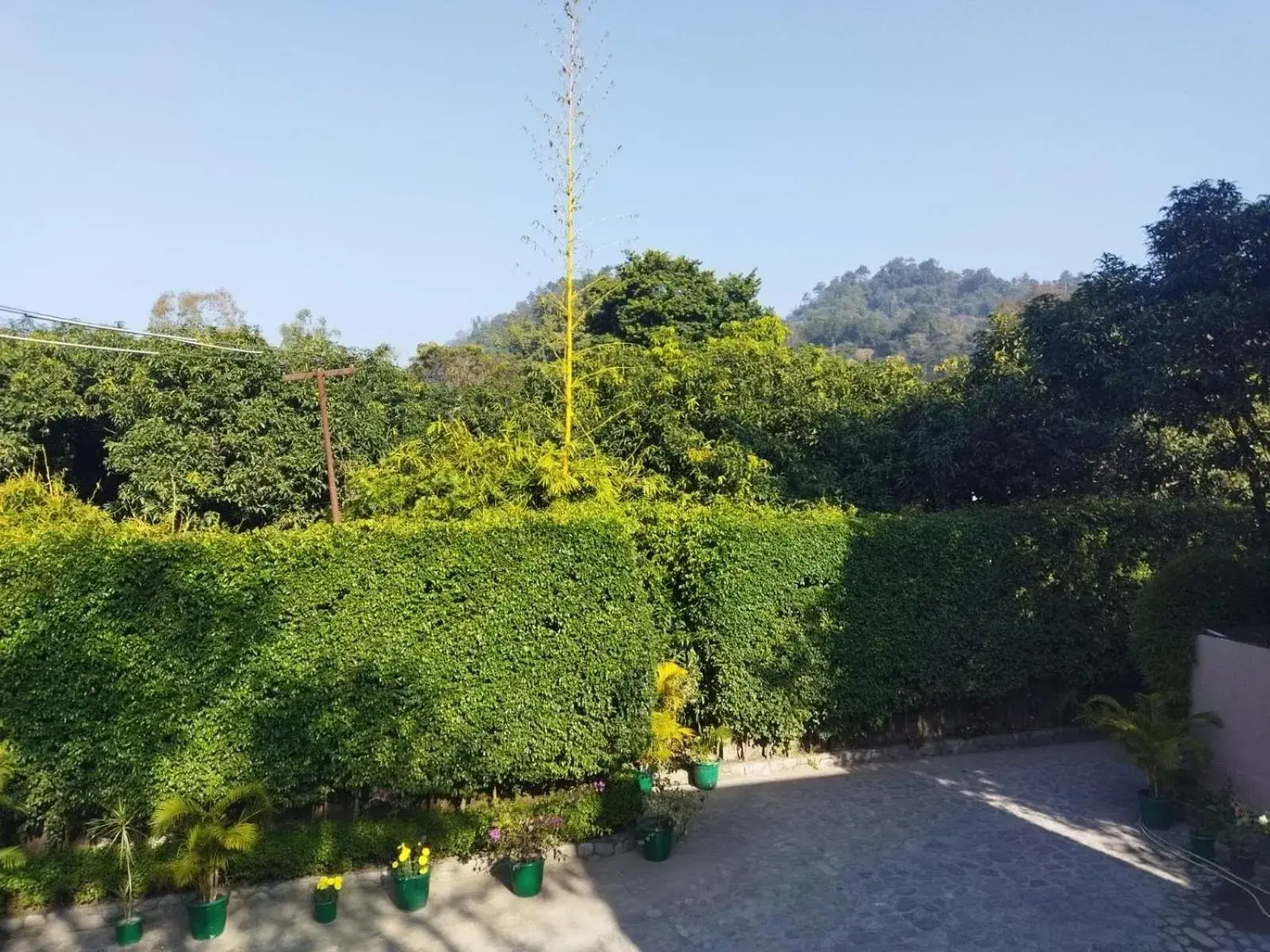 View (from property/room) in Corbett Comfort Lodge View (from property/room) in Corbett Comfort Lodge