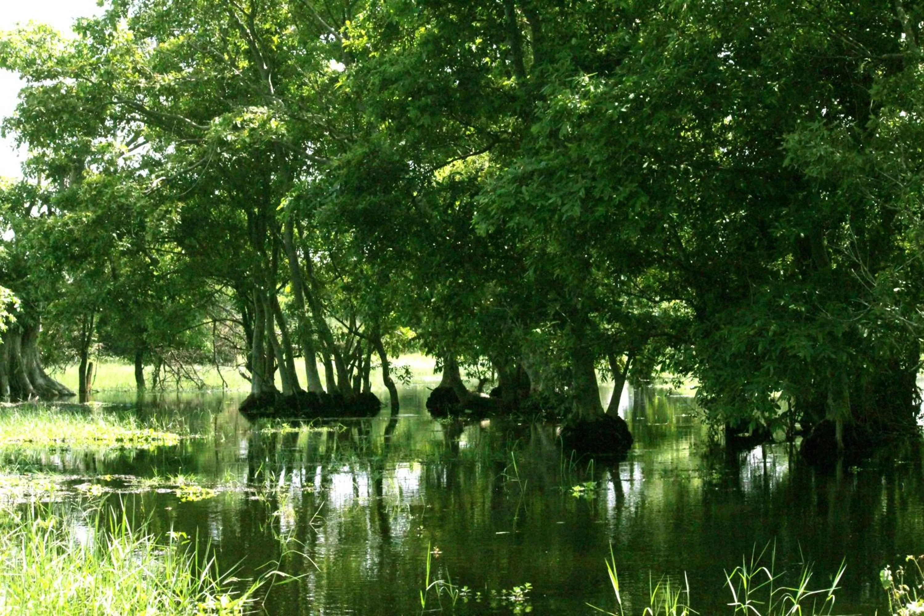 Lake view in Athreya Ayurveda Ashram