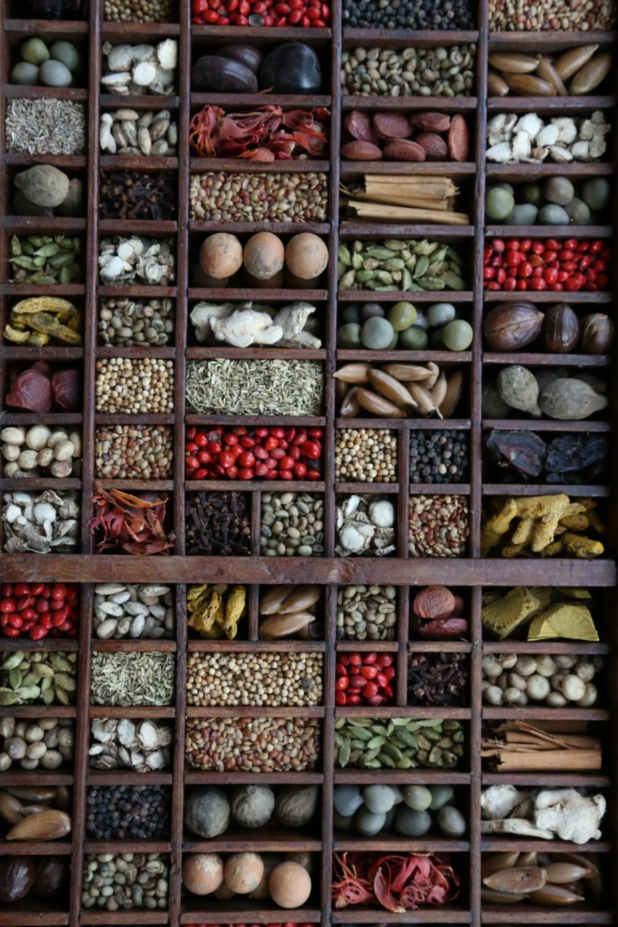 Other in Athreya Ayurveda Ashram