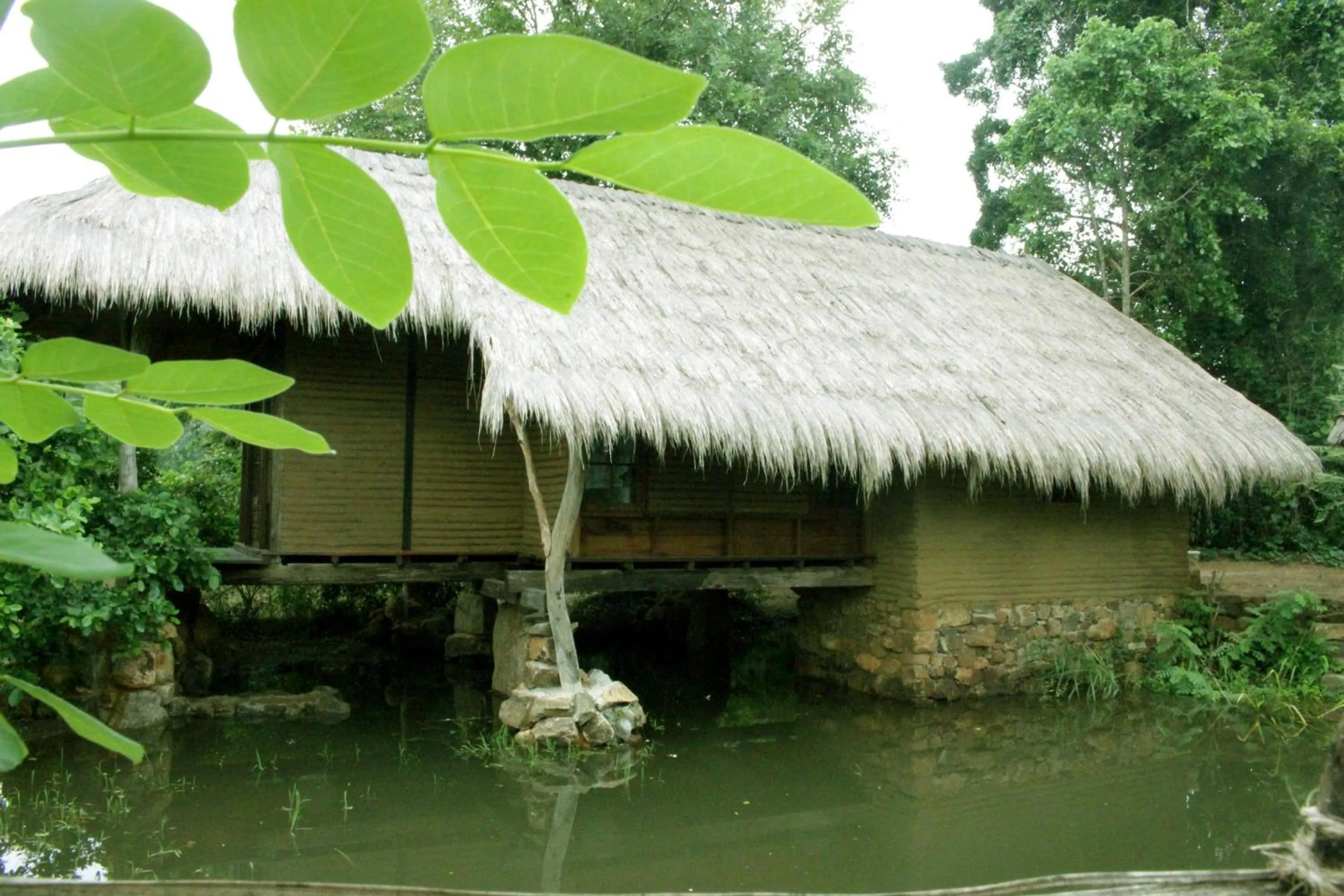 Photo of the whole room in Athreya Ayurveda Ashram
