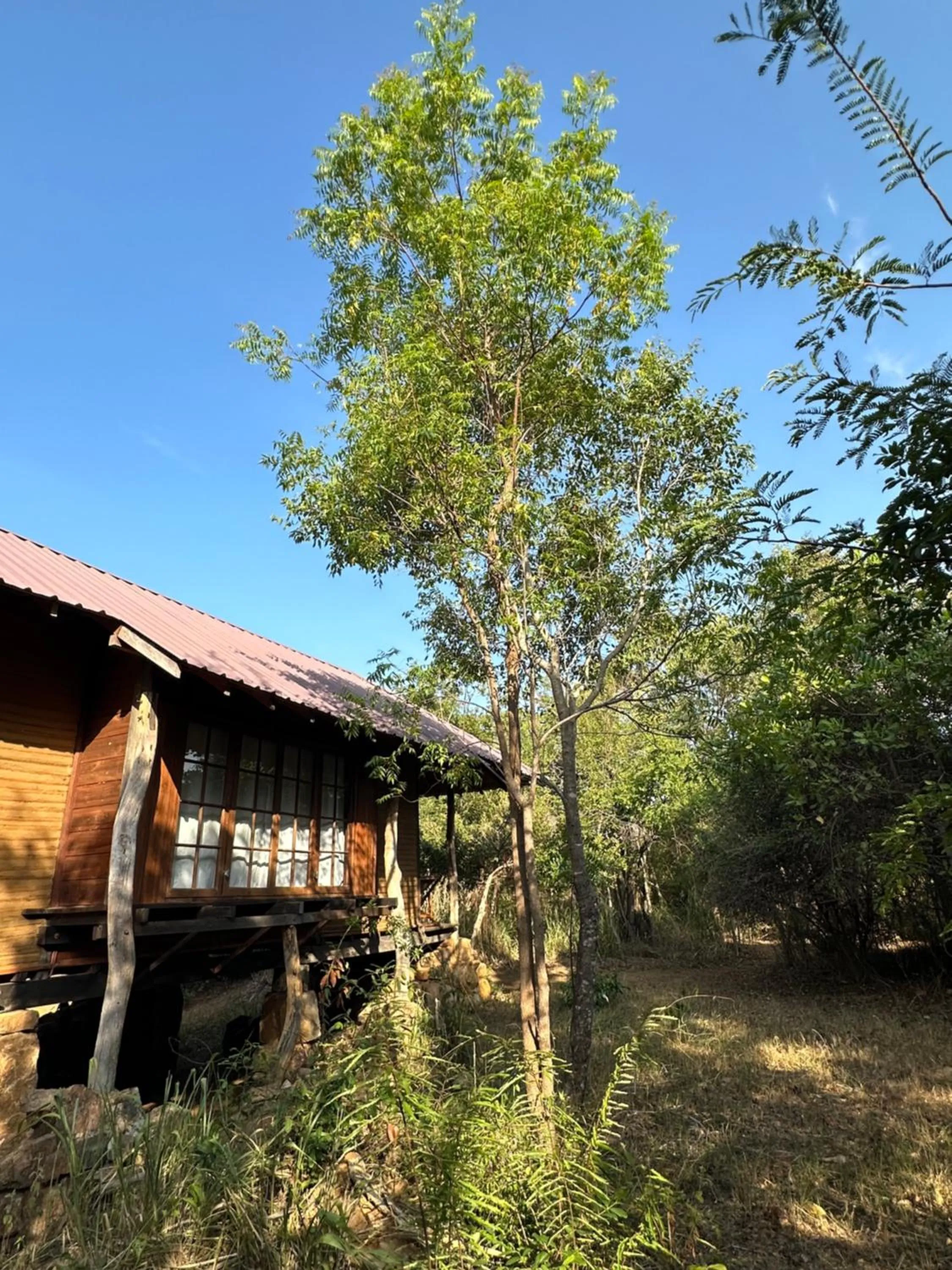 Athreya Ayurveda Ashram