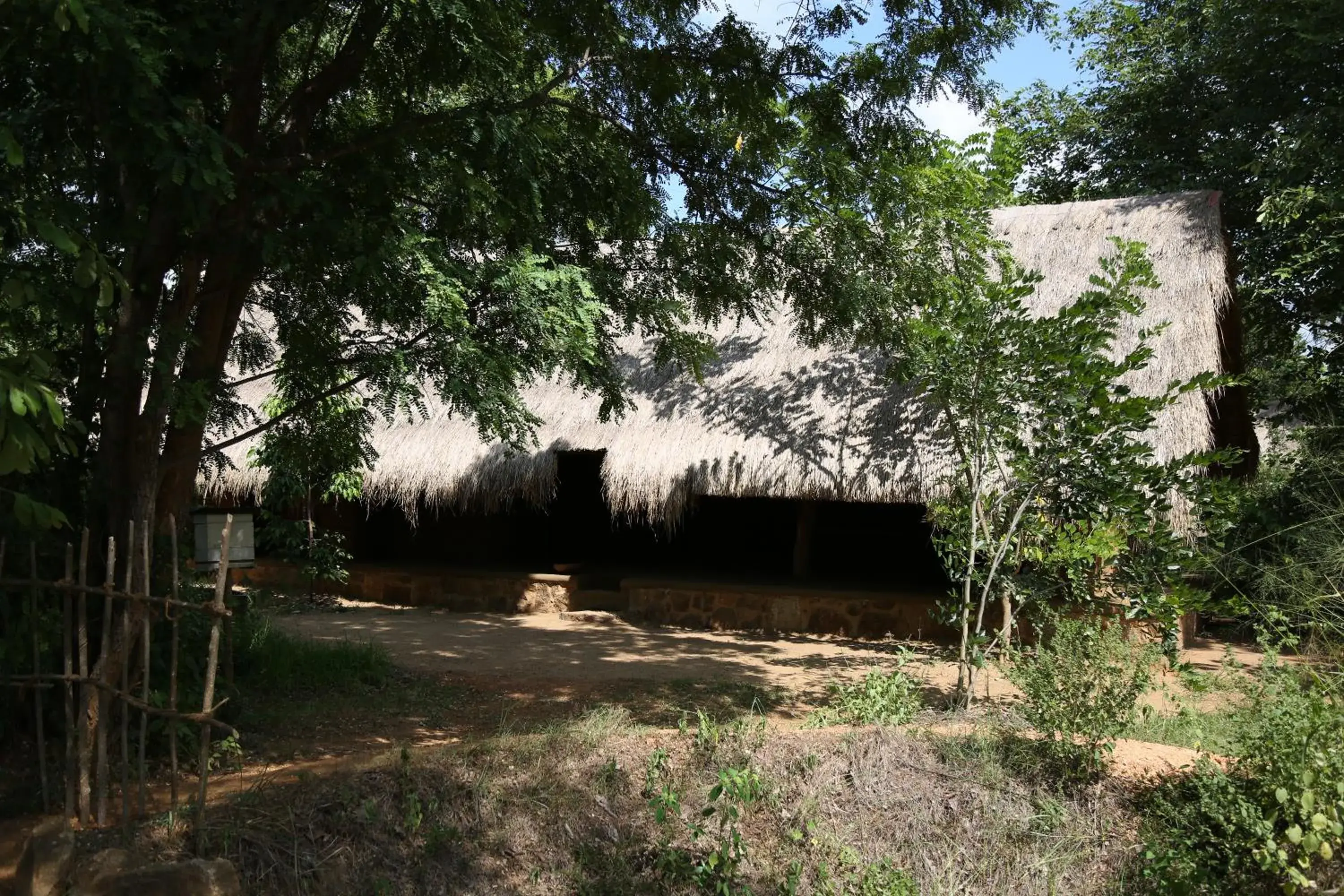 Single Room with Lake View - single occupancy in Athreya Ayurveda Ashram Single Room with Lake View - single occupancy in Athreya Ayurveda Ashram