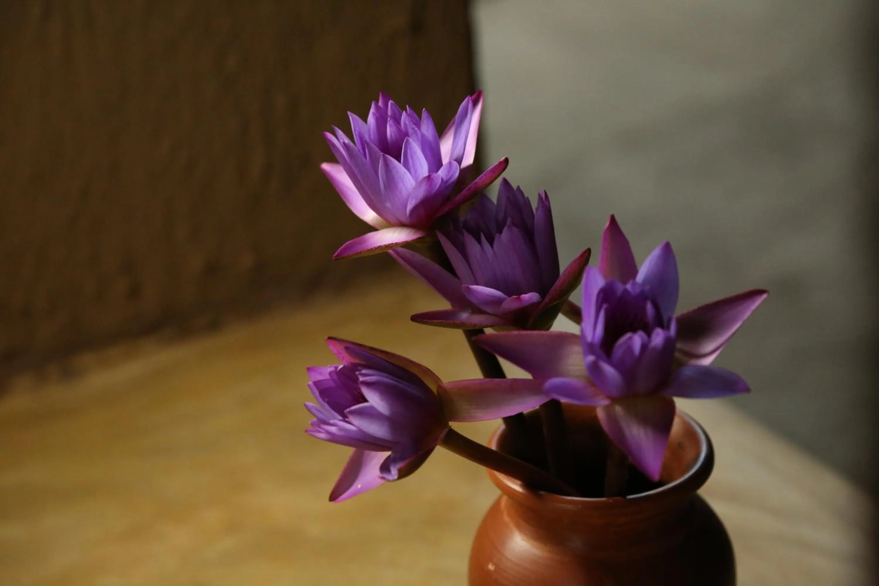 Other in Athreya Ayurveda Ashram