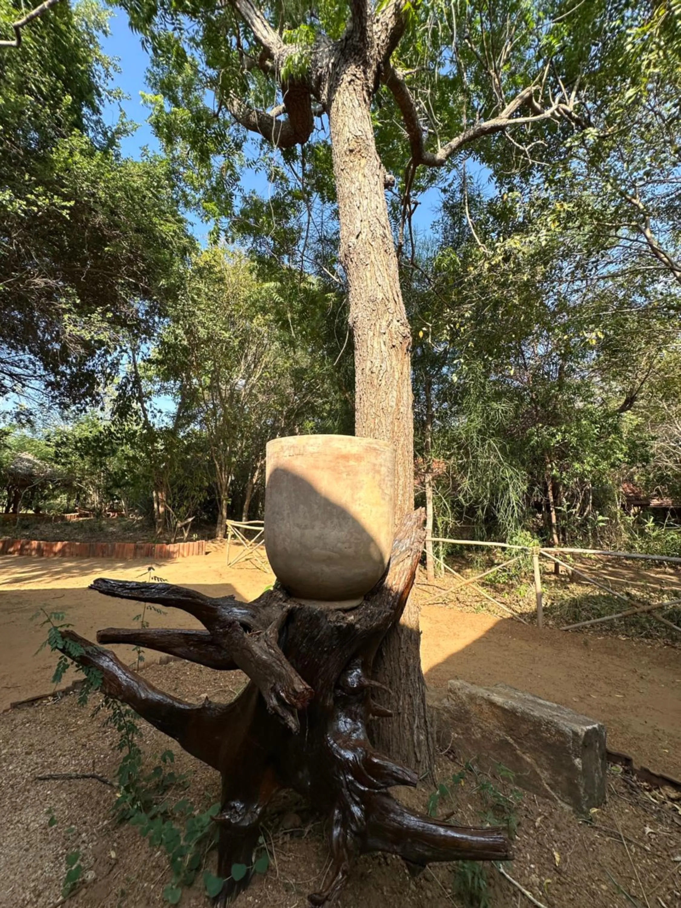 Athreya Ayurveda Ashram