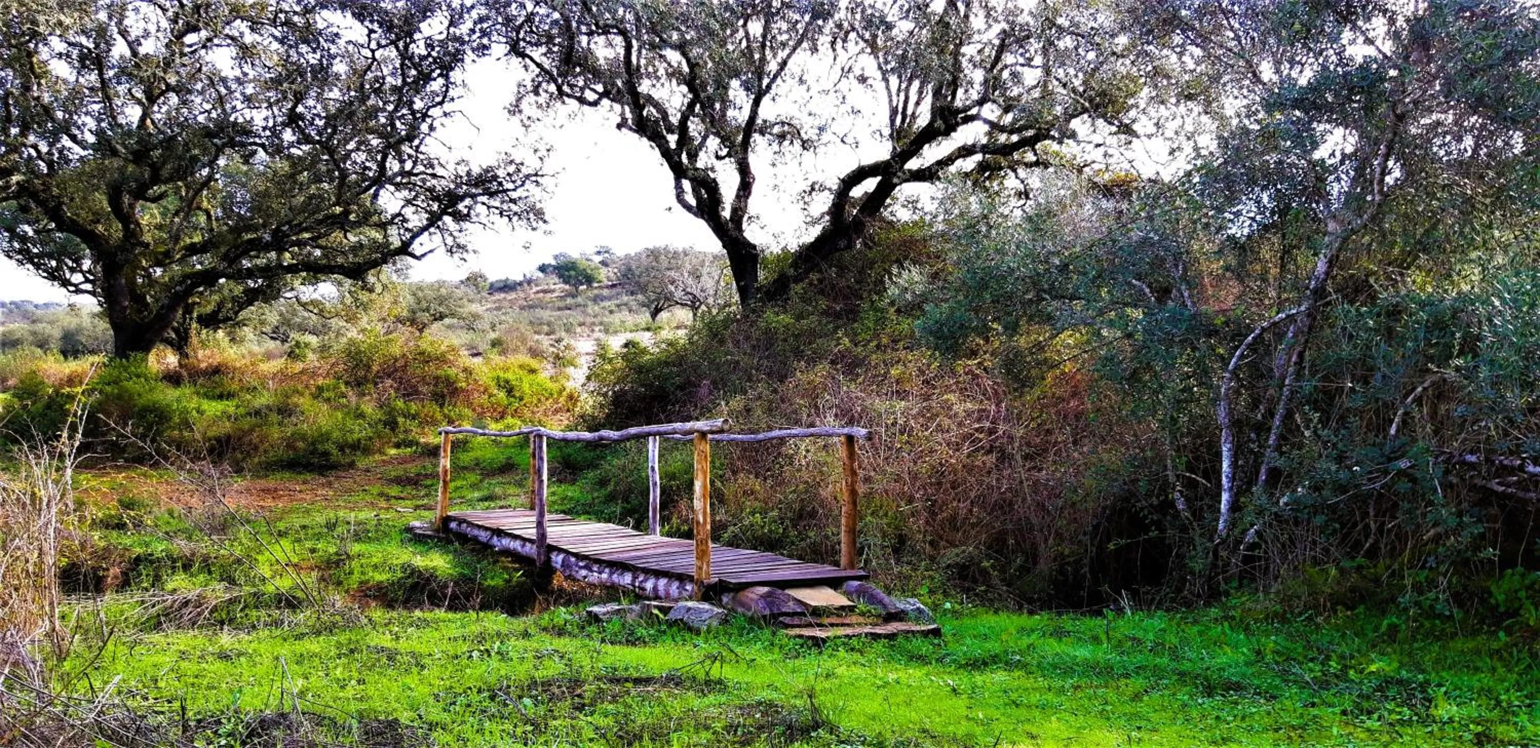Activities in Monte do Alento - Castro da Cola