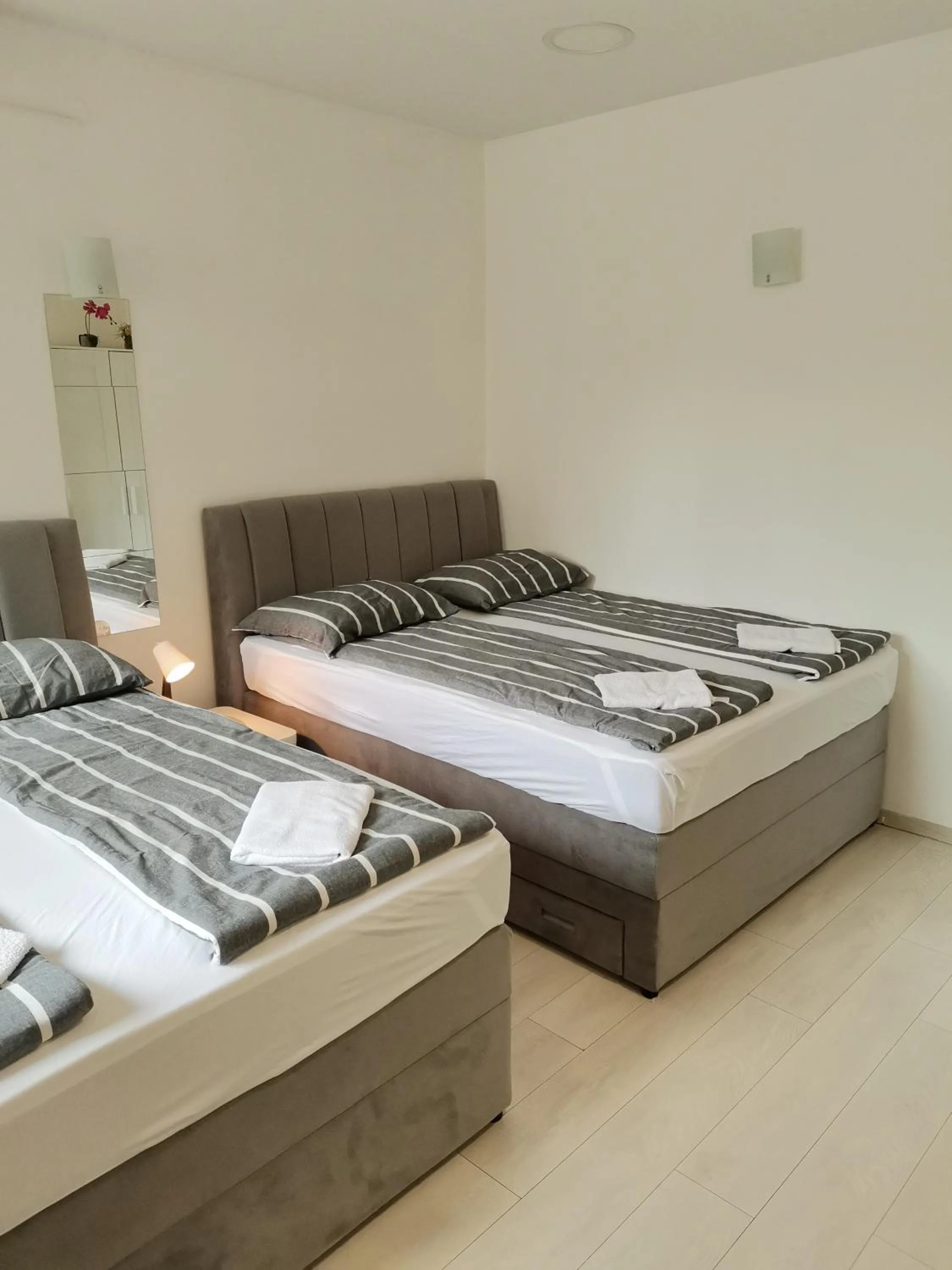 Apartments Petrova170