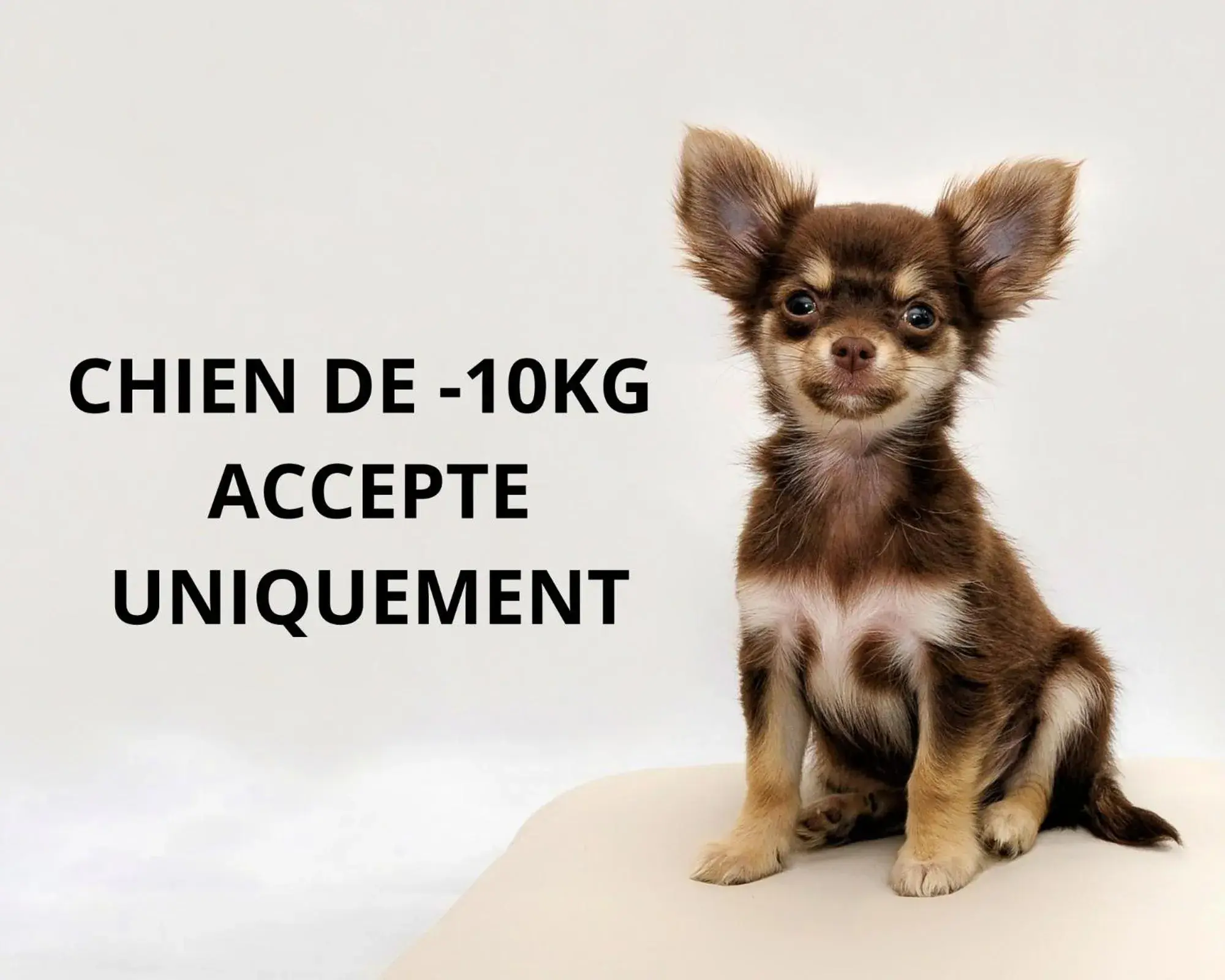 Hôtel Spa Restaurant La Madrague Hôtel Spa Restaurant La Madrague