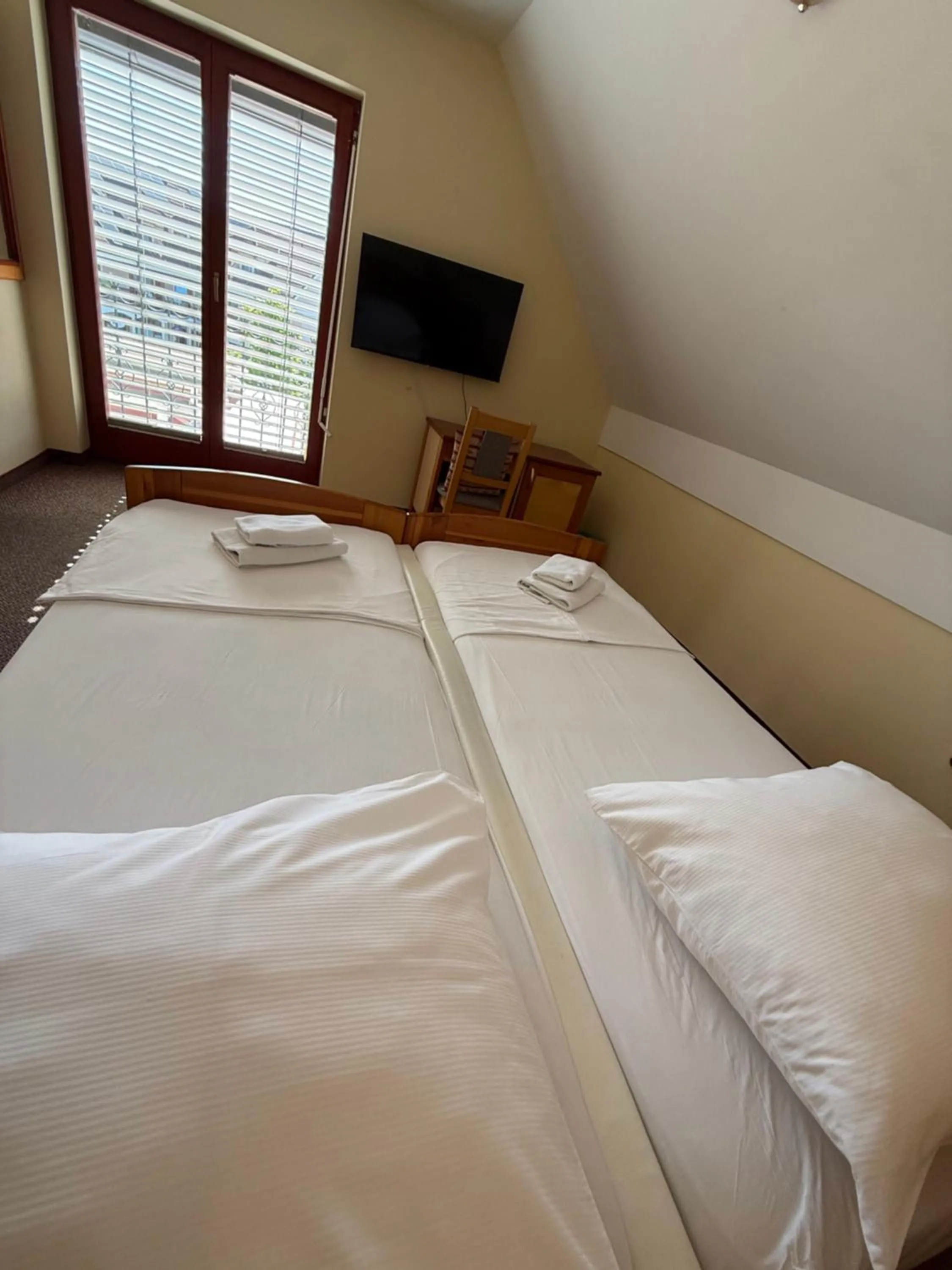 Double Room in Guesthouse Jurcek
