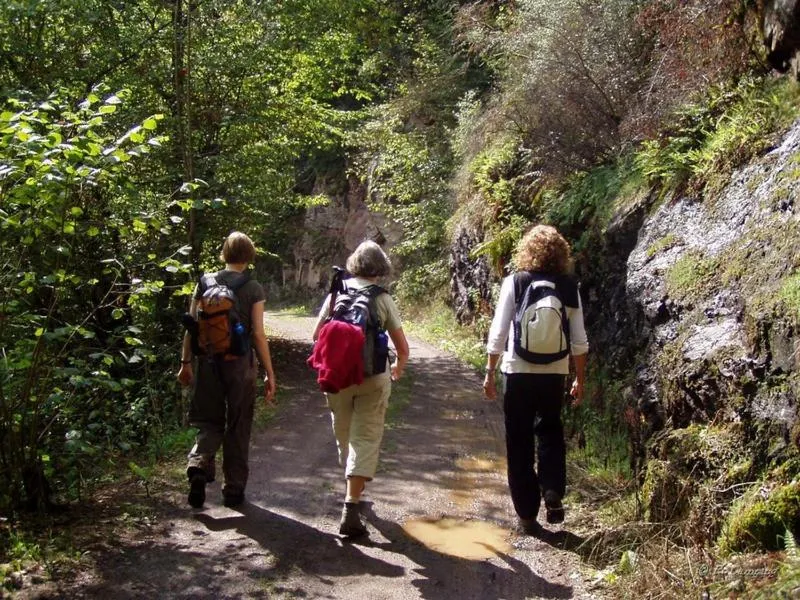 Hiking in Pension Haus Liesertal