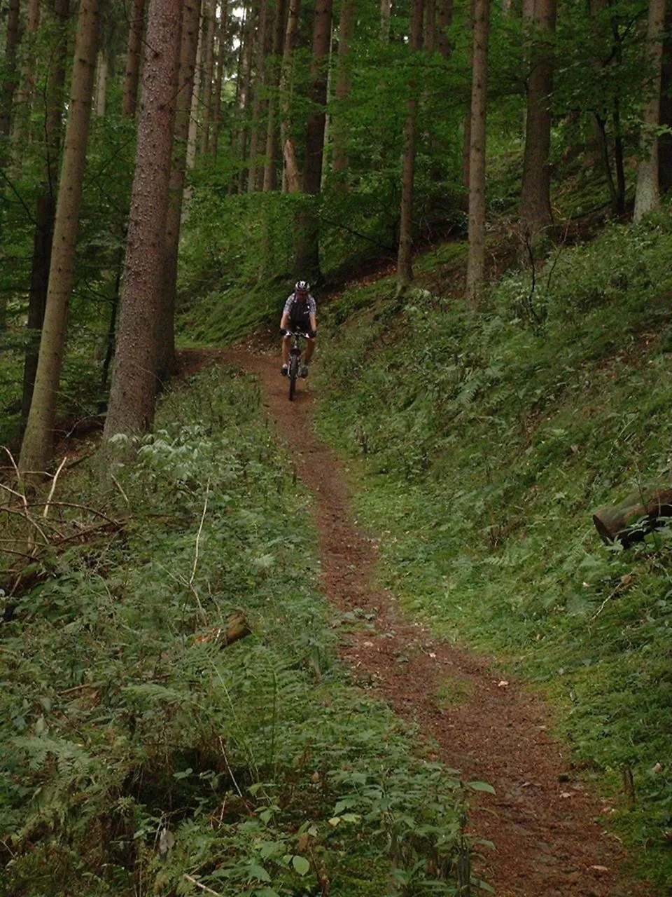 Cycling in Pension Haus Liesertal