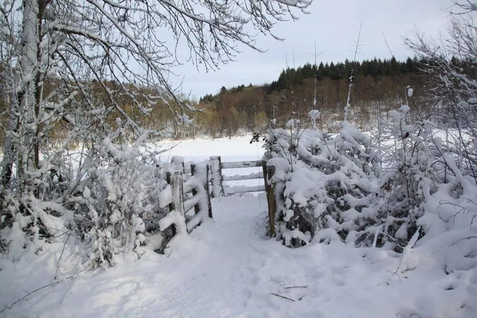 Natural landscape in Pension Haus Liesertal