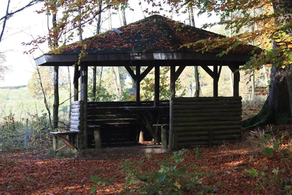 Natural landscape in Pension Haus Liesertal