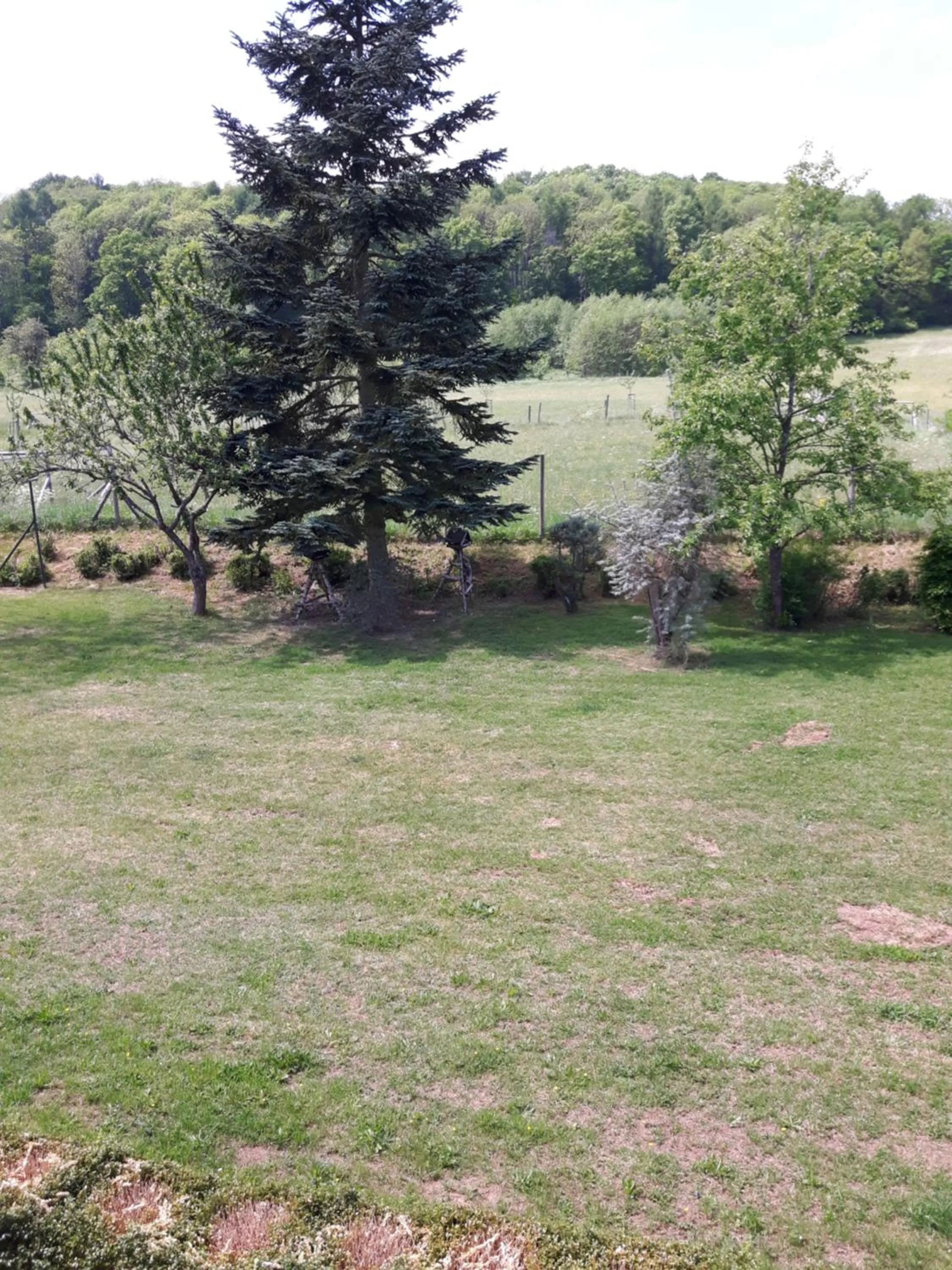 Natural landscape in Pension Haus Liesertal