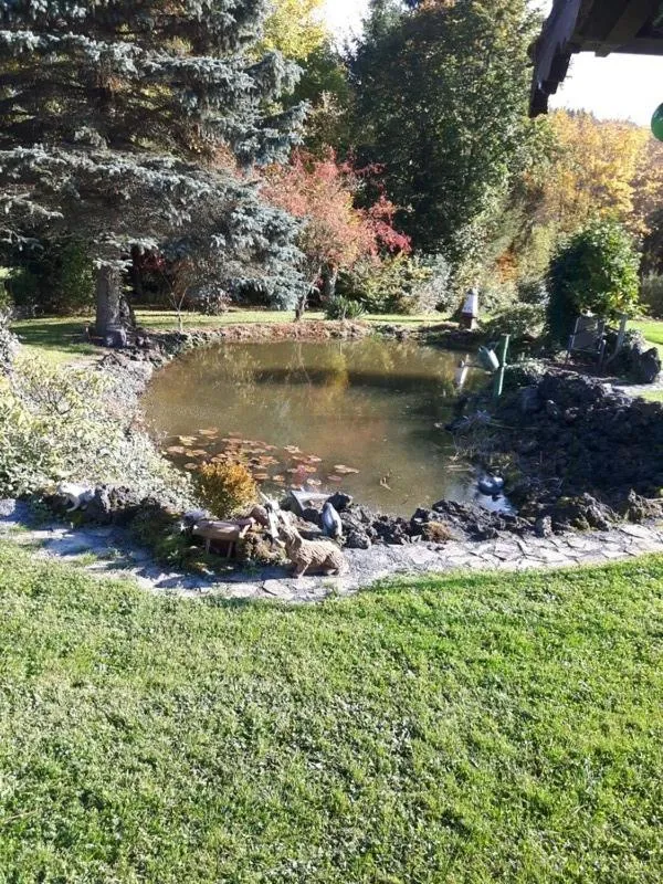 Natural landscape in Pension Haus Liesertal