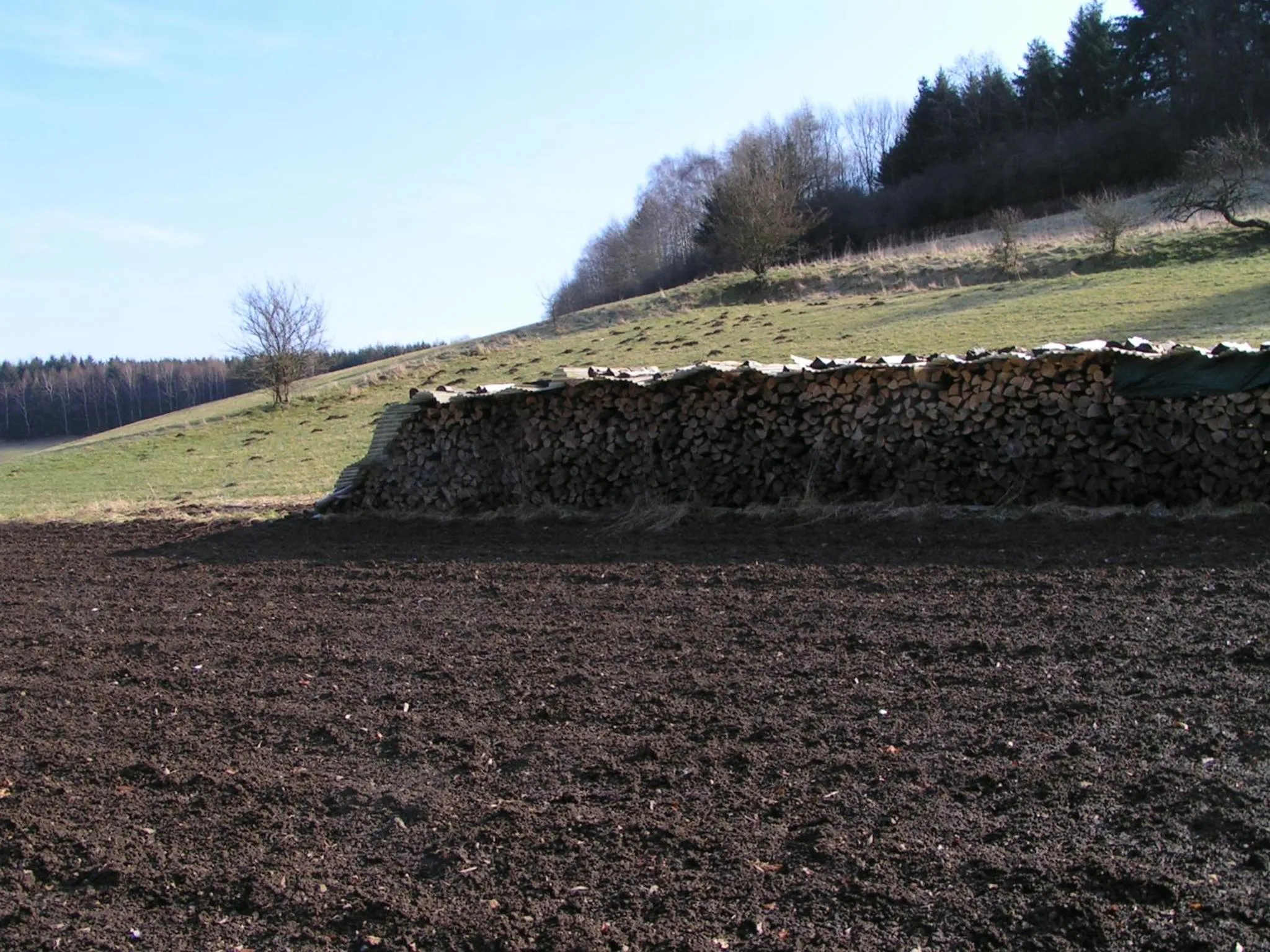 Natural landscape in Pension Haus Liesertal