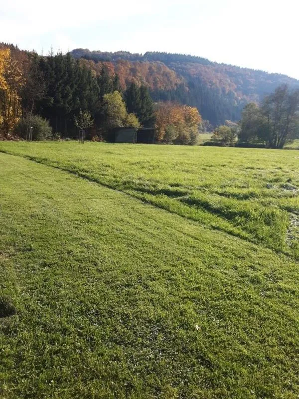 Natural landscape in Pension Haus Liesertal