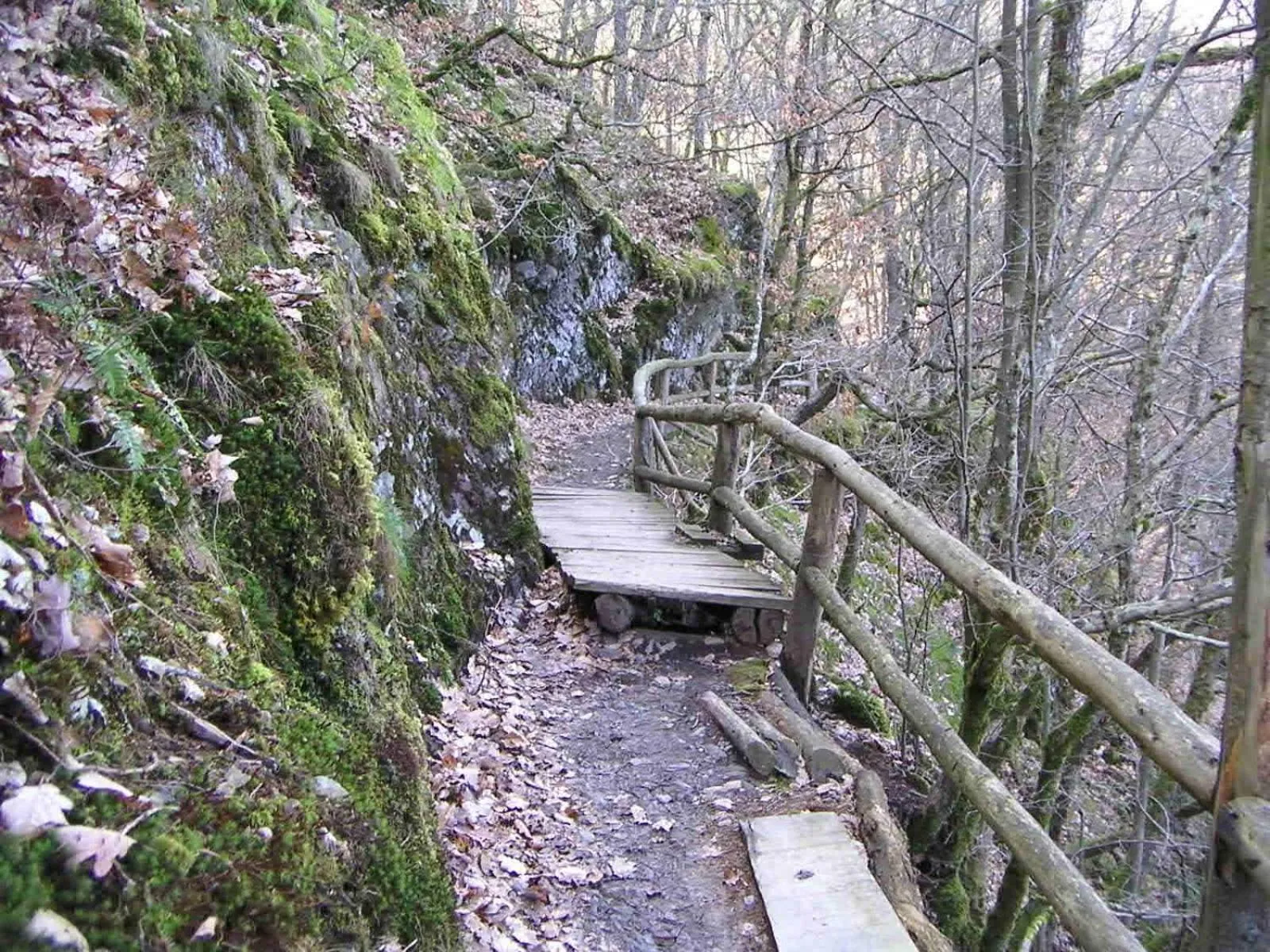 Natural landscape in Pension Haus Liesertal