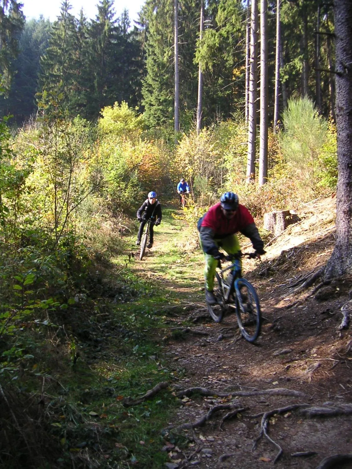 Cycling in Pension Haus Liesertal