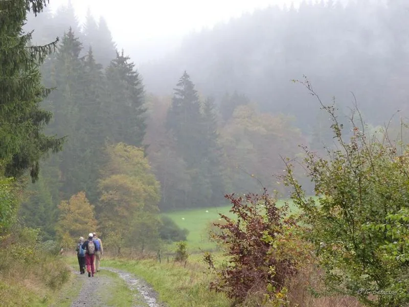Hiking in Pension Haus Liesertal