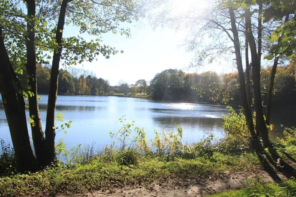 Activities in Pension Haus Liesertal